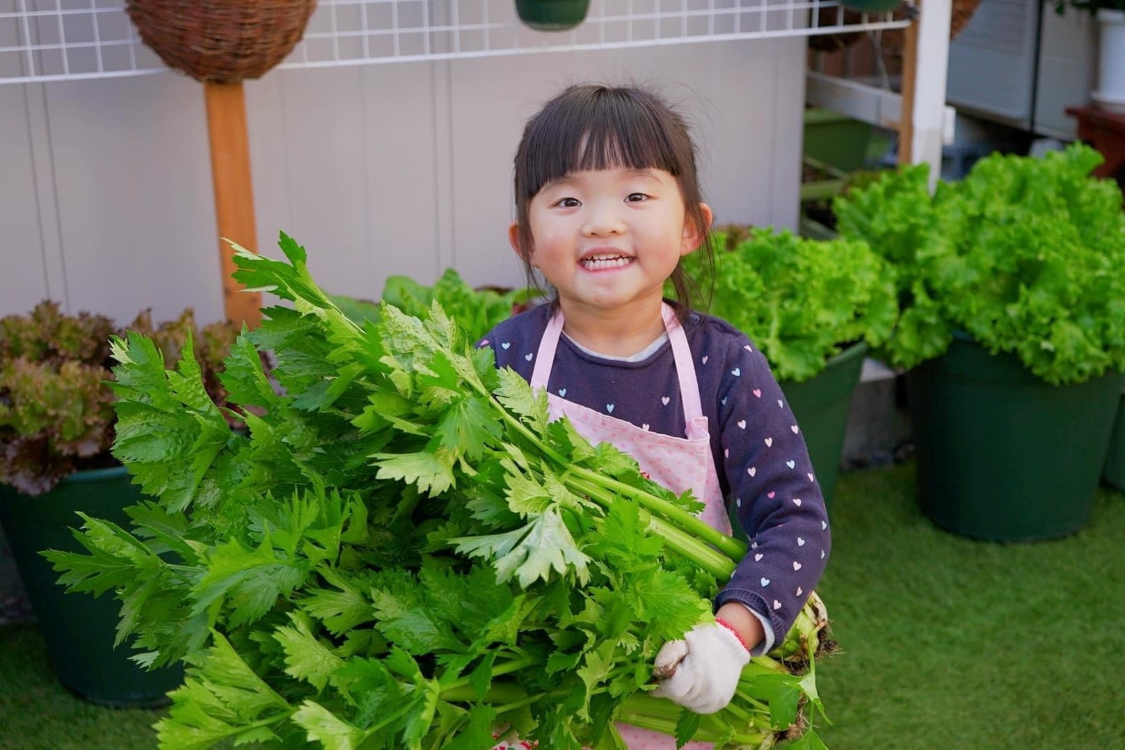 Mẹ Việt ở Nhật dạy con làm vườn từ nhỏ ảnh 1 Me Viet o Nhat day con lam vuon tu nho anh 1