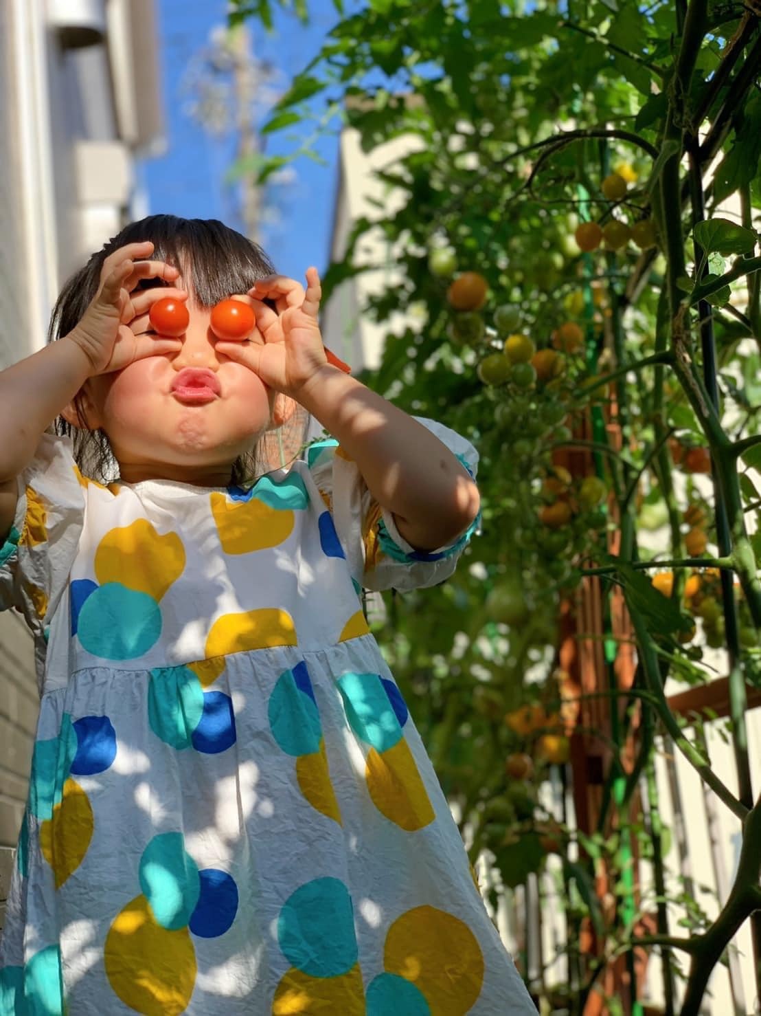 Mẹ Việt ở Nhật dạy con làm vườn từ nhỏ ảnh 4 Me Viet o Nhat day con lam vuon tu nho anh 4
