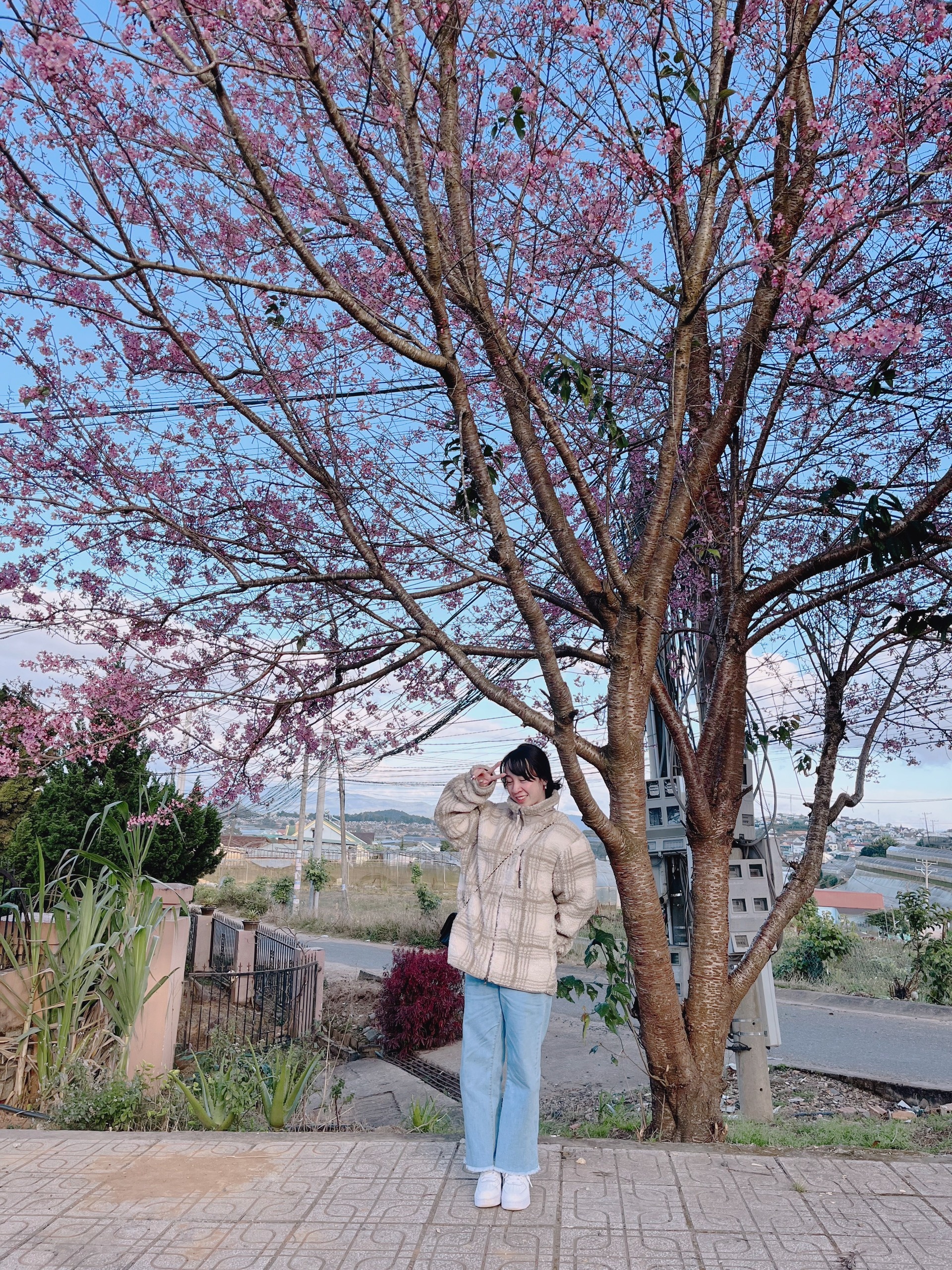 Di du lich cuoi nam anh 5