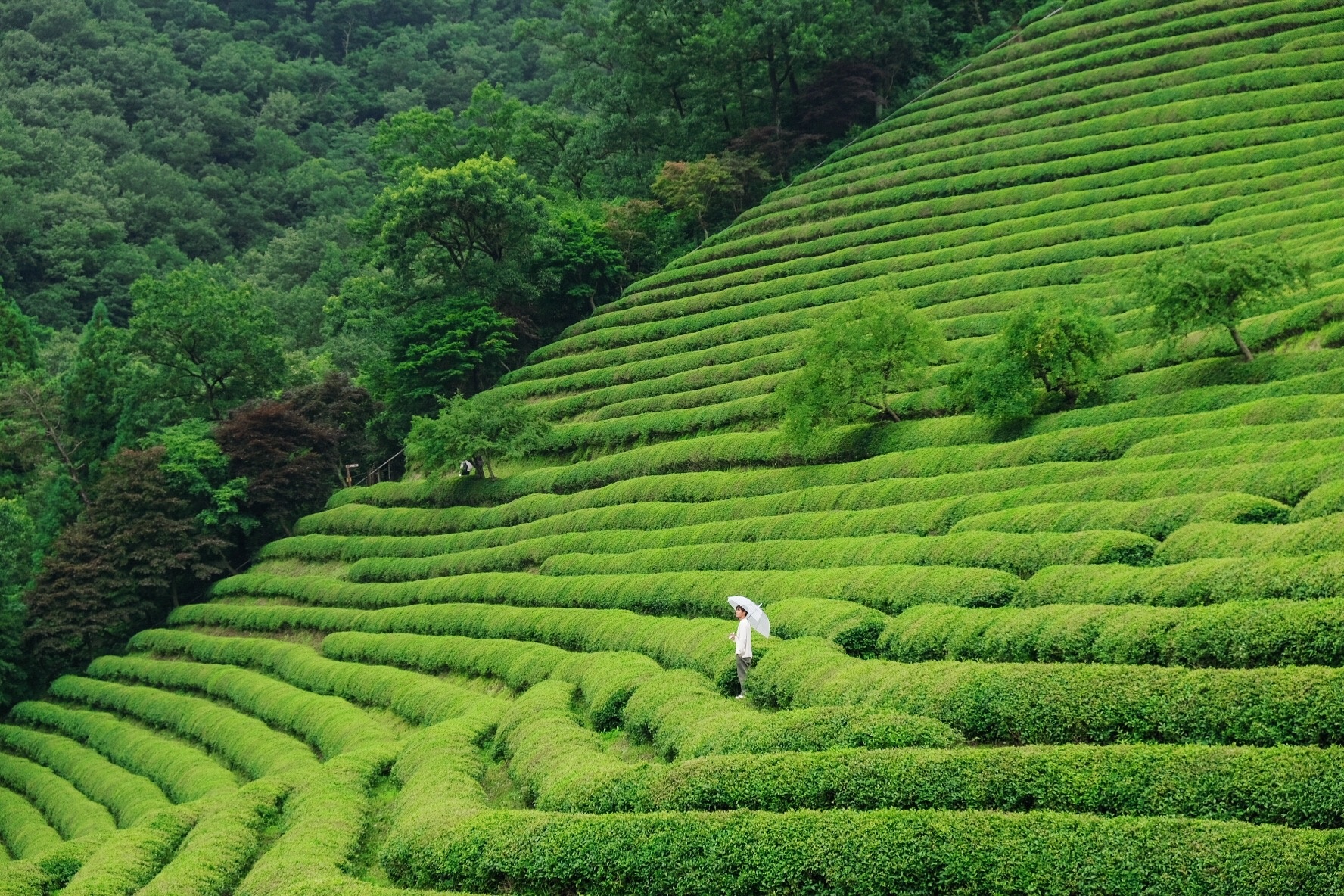 Chàng trai Việt du lịch khắp nơi trong 2 năm sống ở Hàn ảnh 14 Chang trai Viet du lich khap noi trong 2 nam song o Han anh 14