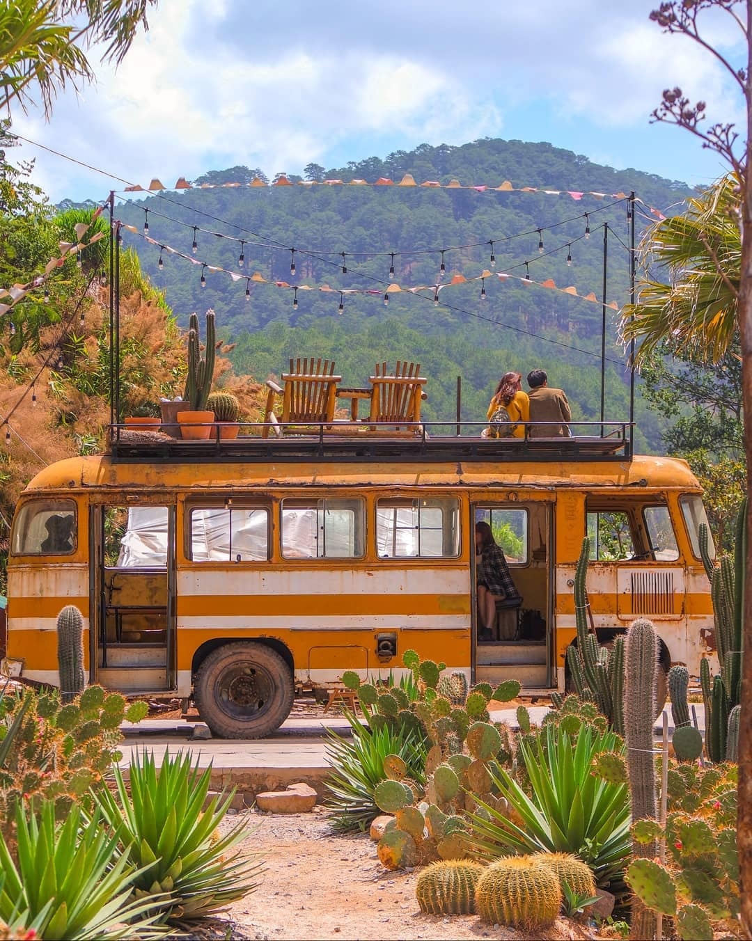 Rời TP.HCM về Đà Lạt lập nghiệp ảnh 3 Roi TP.HCM ve Da Lat lap nghiep anh 3