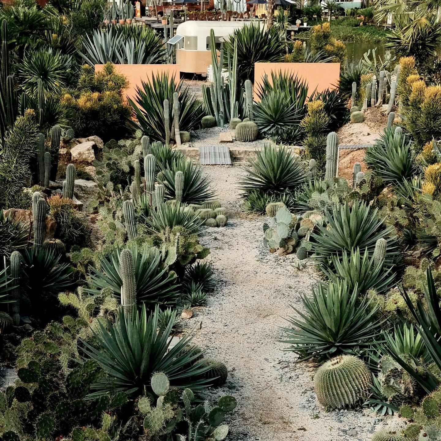 Rời TP.HCM về Đà Lạt lập nghiệp ảnh 5 Roi TP.HCM ve Da Lat lap nghiep anh 5