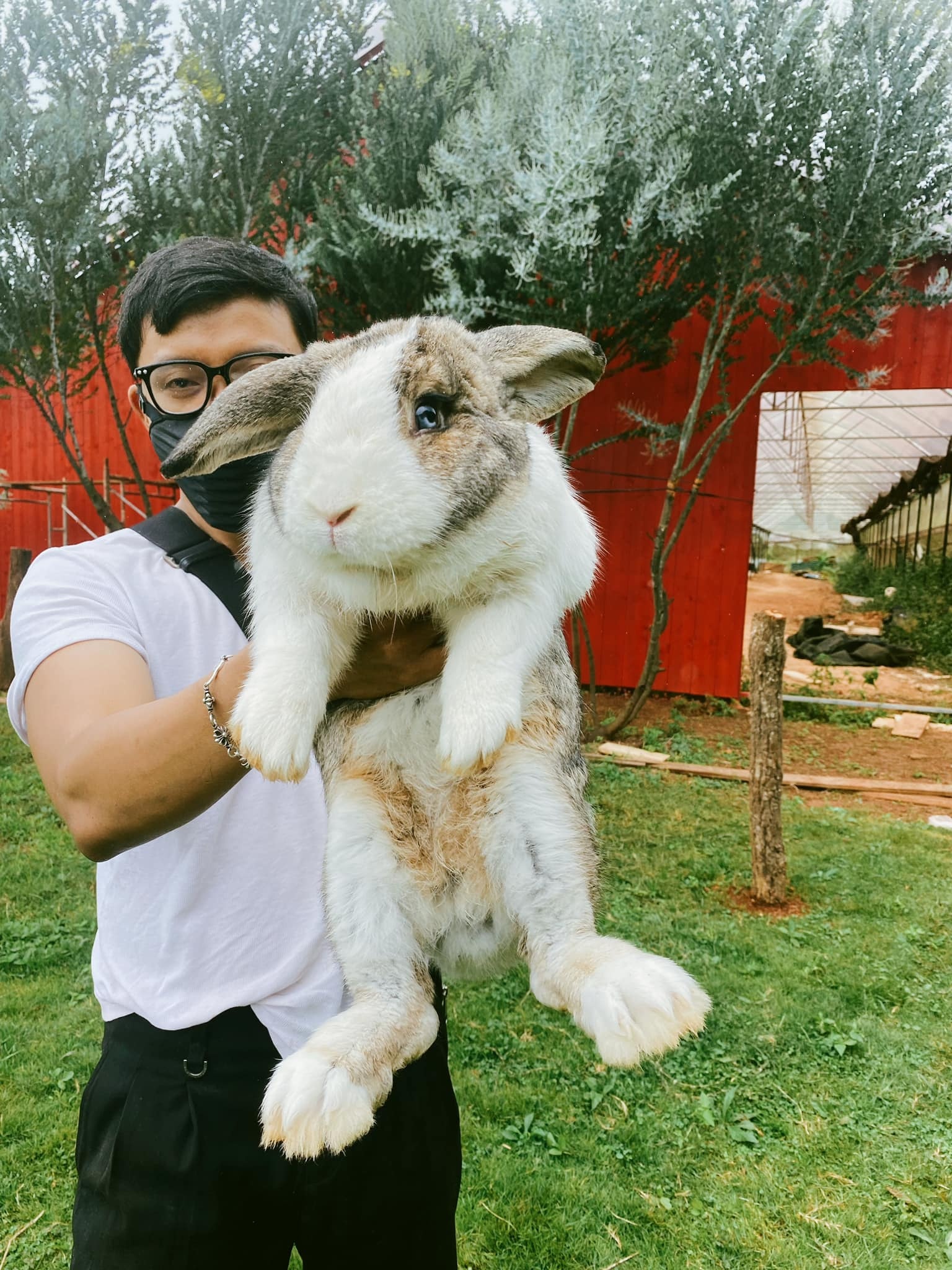 Rời TP.HCM về Đà Lạt lập nghiệp ảnh 12 Roi TP.HCM ve Da Lat lap nghiep anh 12