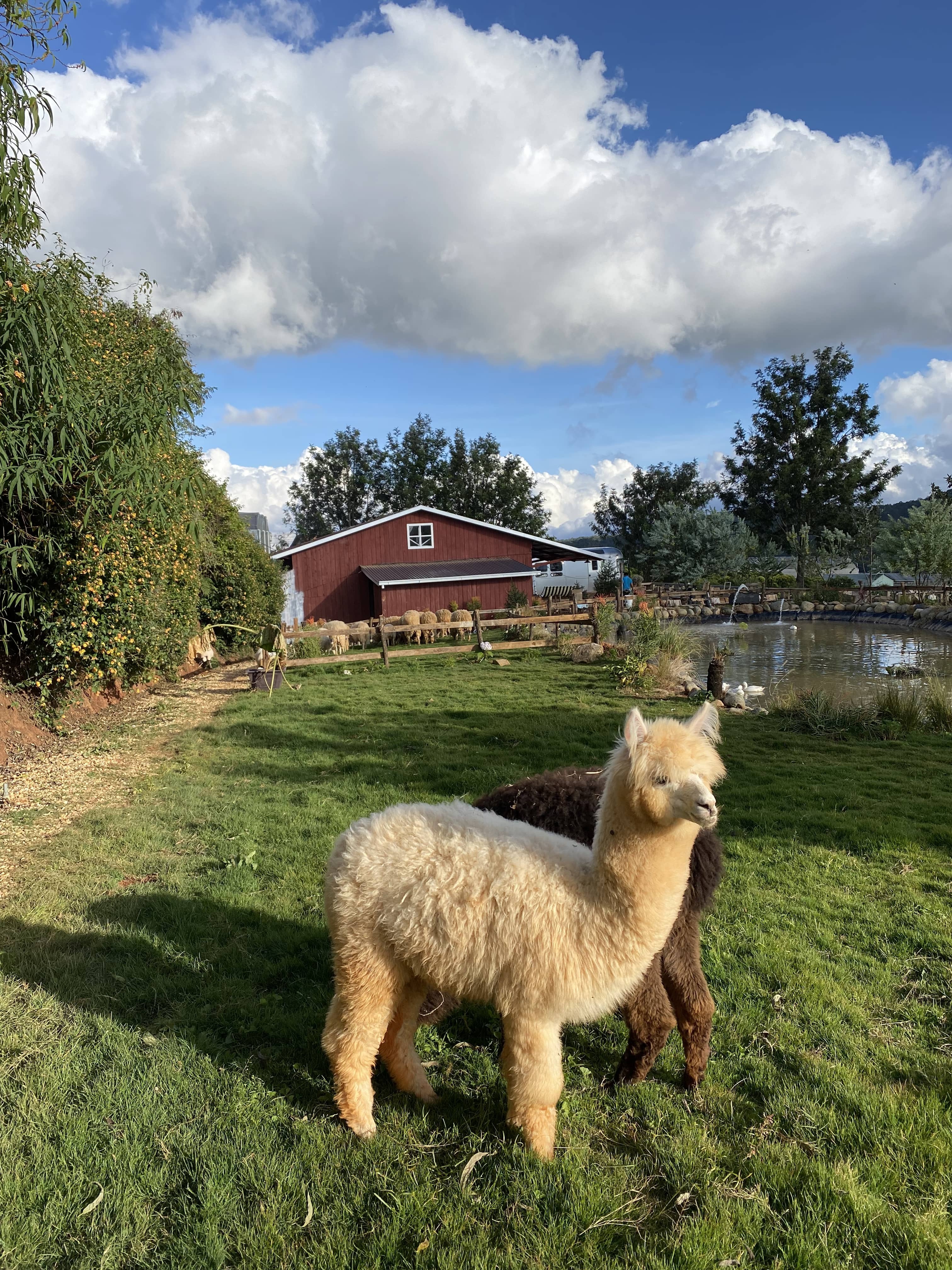 Rời TP.HCM về Đà Lạt lập nghiệp ảnh 13 Roi TP.HCM ve Da Lat lap nghiep anh 13