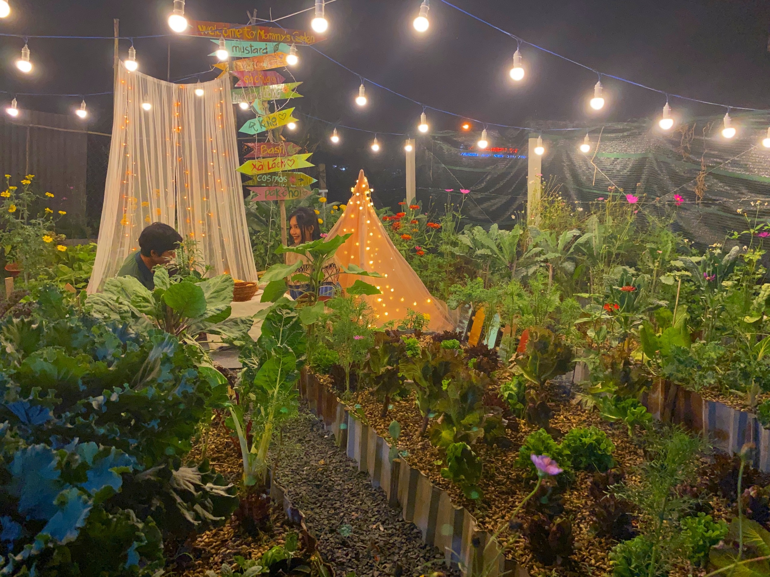 Nguoi me tre o TP.HCM trong hang tram loai cay trong vuon anh 8