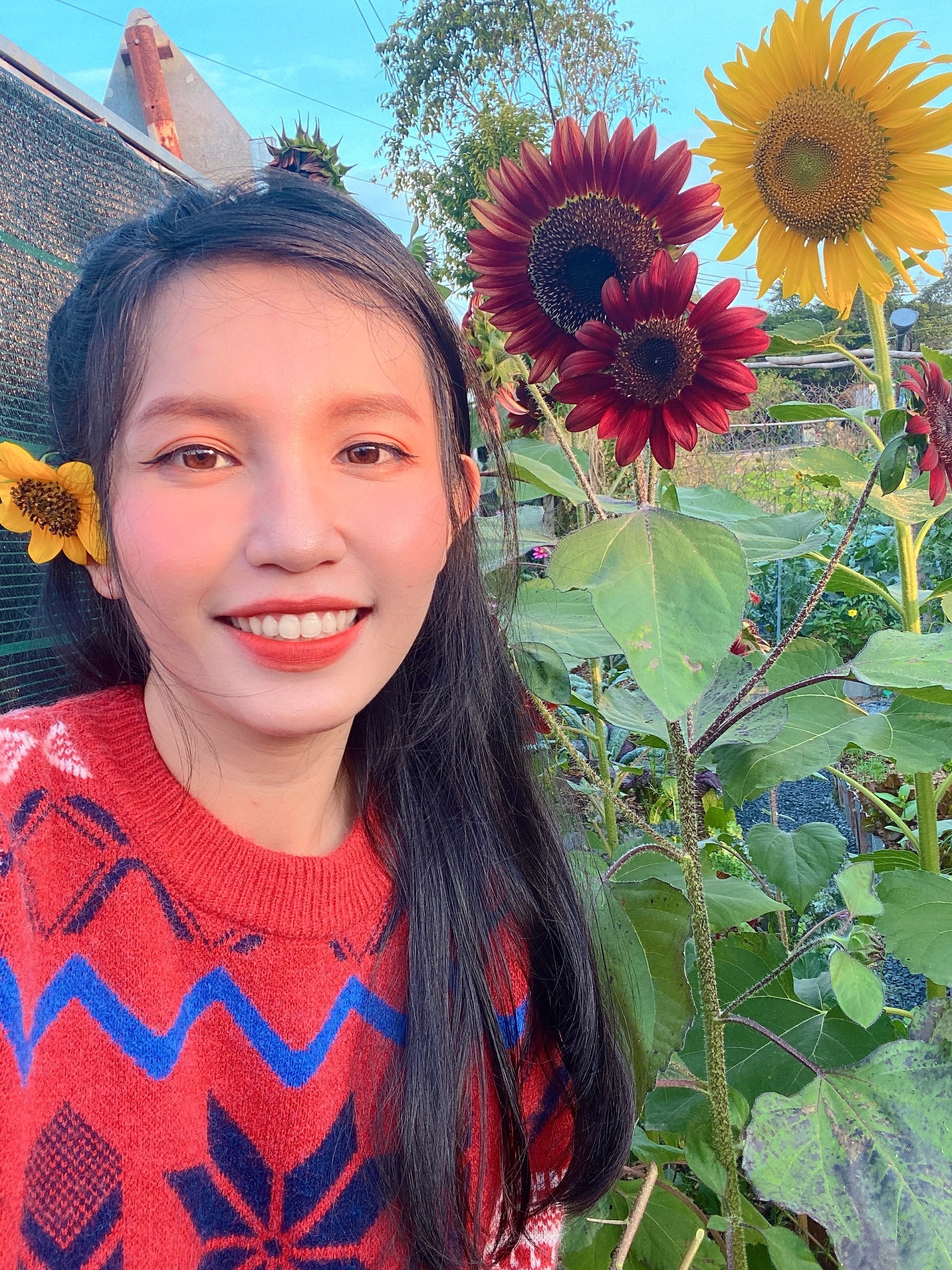 Nguoi me tre o TP.HCM trong hang tram loai cay trong vuon anh 5