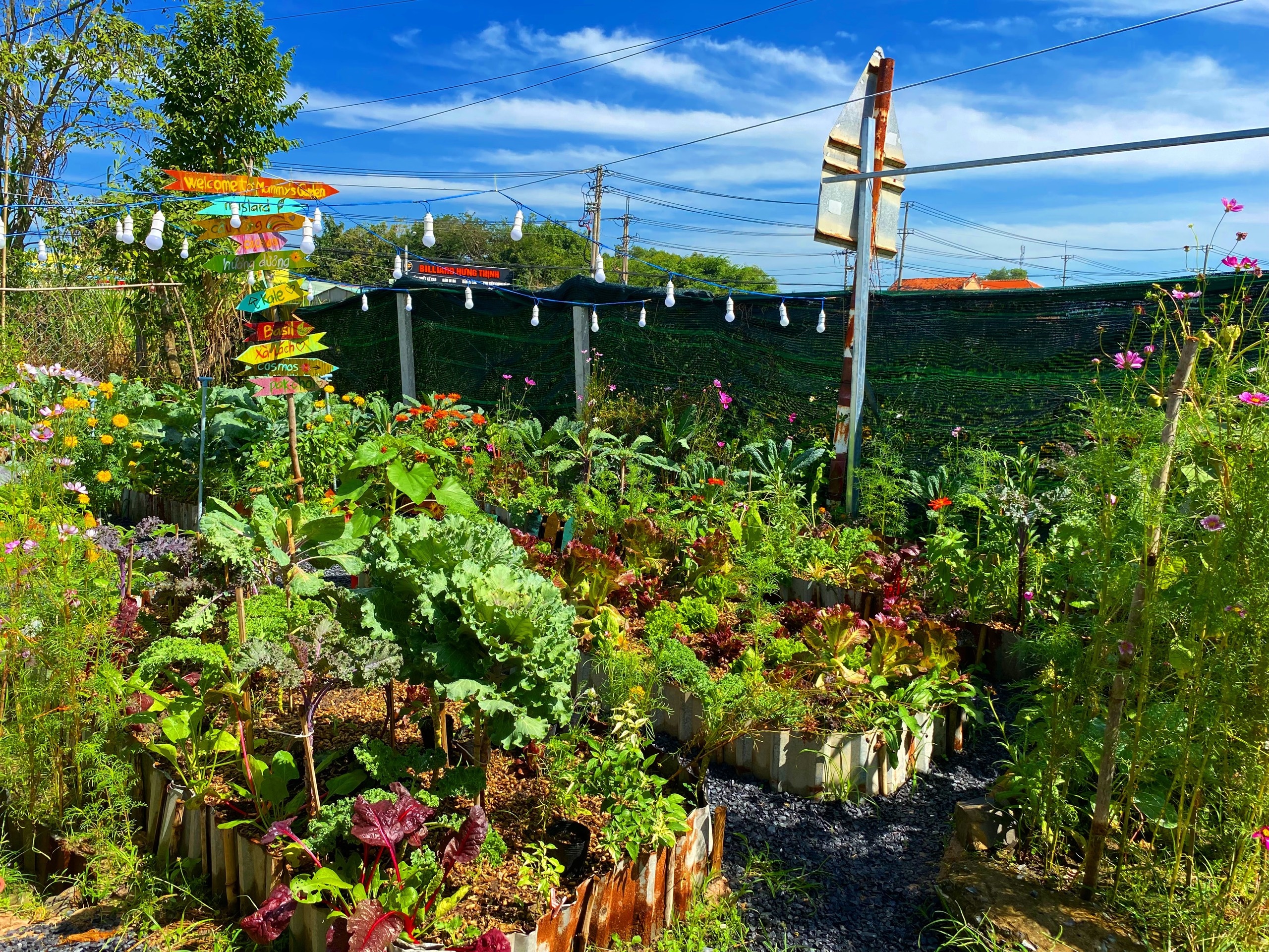 Nguoi me tre o TP.HCM trong hang tram loai cay trong vuon anh 2