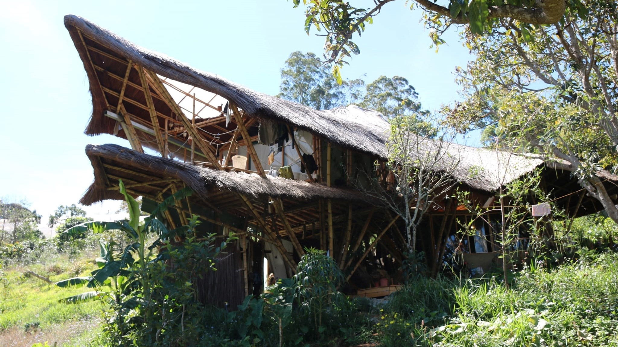 Bỏ phố về Đà Lạt dựng nhà bằng tre ảnh 3 Bo pho ve Da Lat dung nha bang tre anh 3