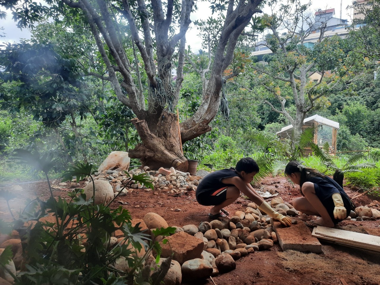 Bỏ phố về Đà Lạt dựng nhà bằng tre ảnh 16 Bo pho ve Da Lat dung nha bang tre anh 16