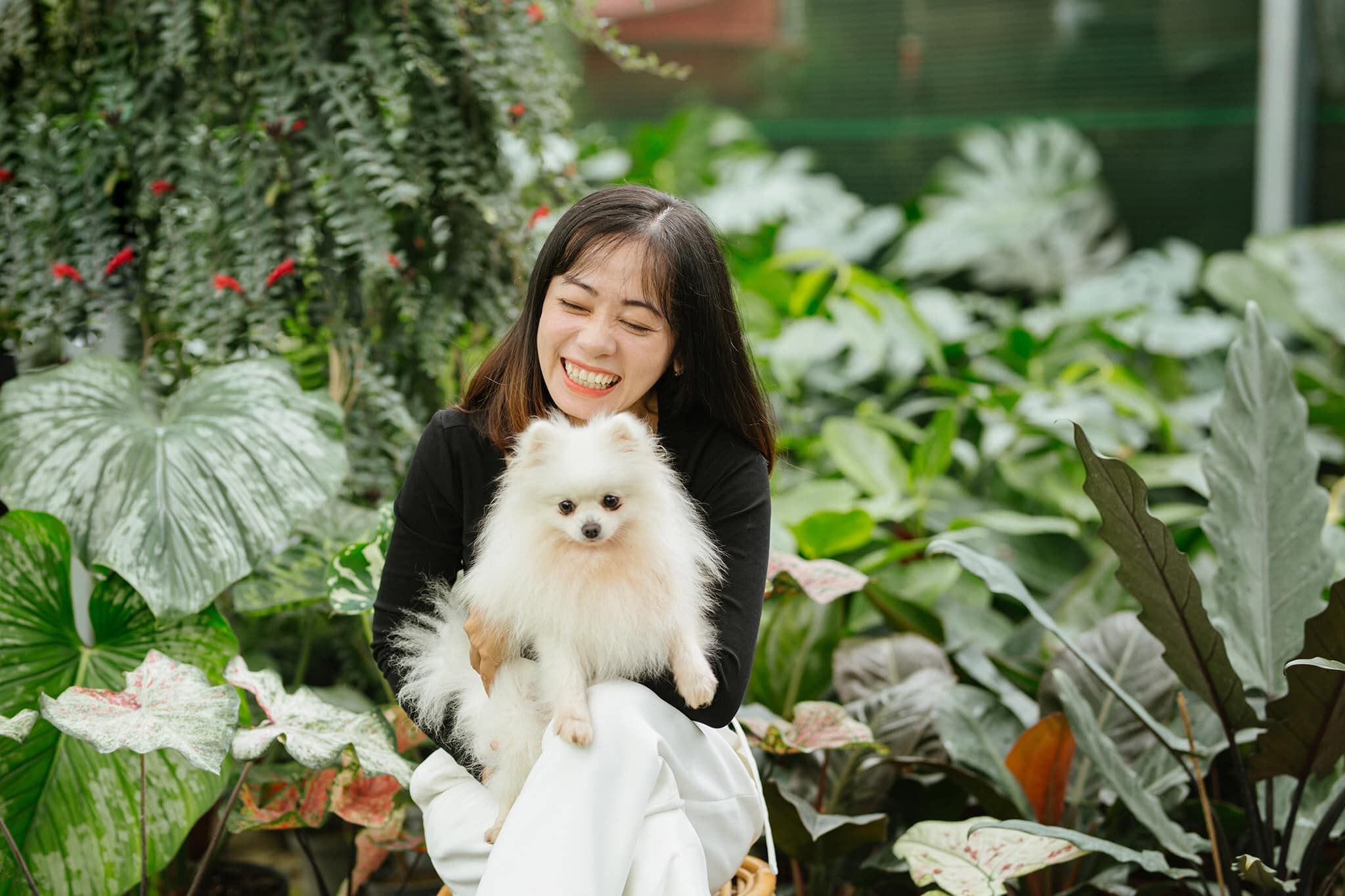 Bỏ việc lương cao ở TP.HCM về quê kinh doanh kiểng lá ảnh 8 Bo viec luong cao o TP.HCM ve que kinh doanh kieng la anh 8