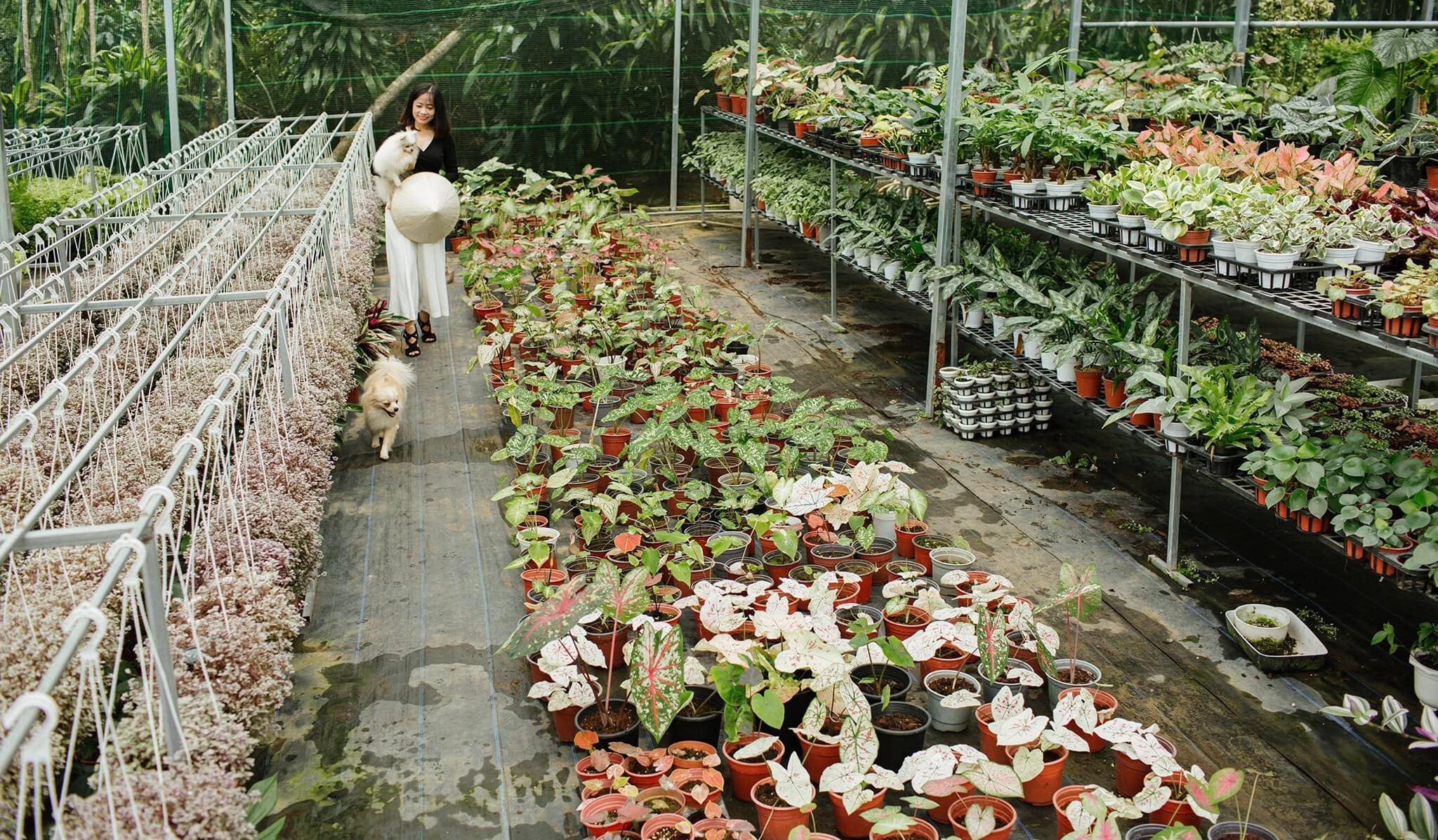 Bo viec luong cao o TP.HCM ve que kinh doanh kieng la anh 2