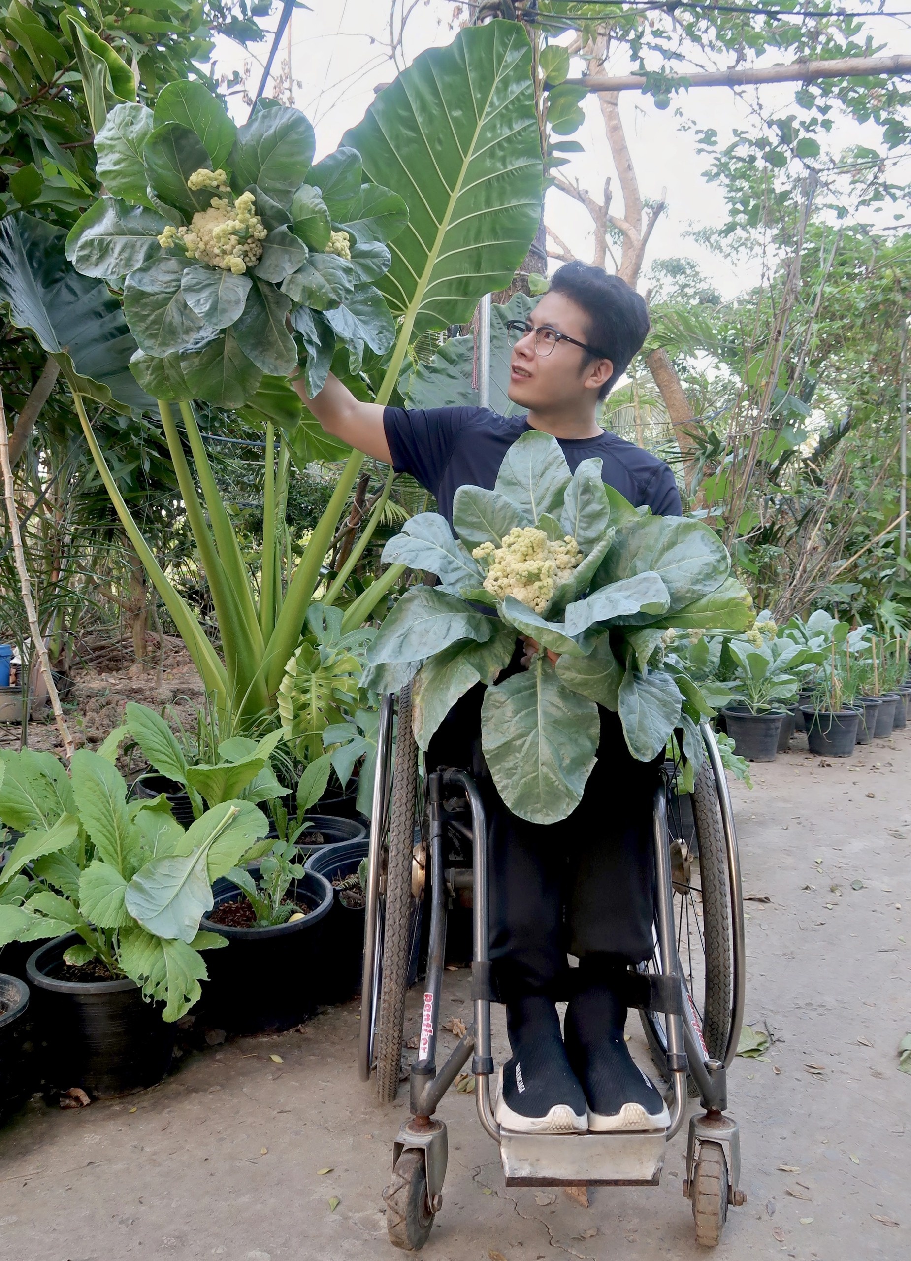 Khu vuon cua chang trai liet hai chan anh 2