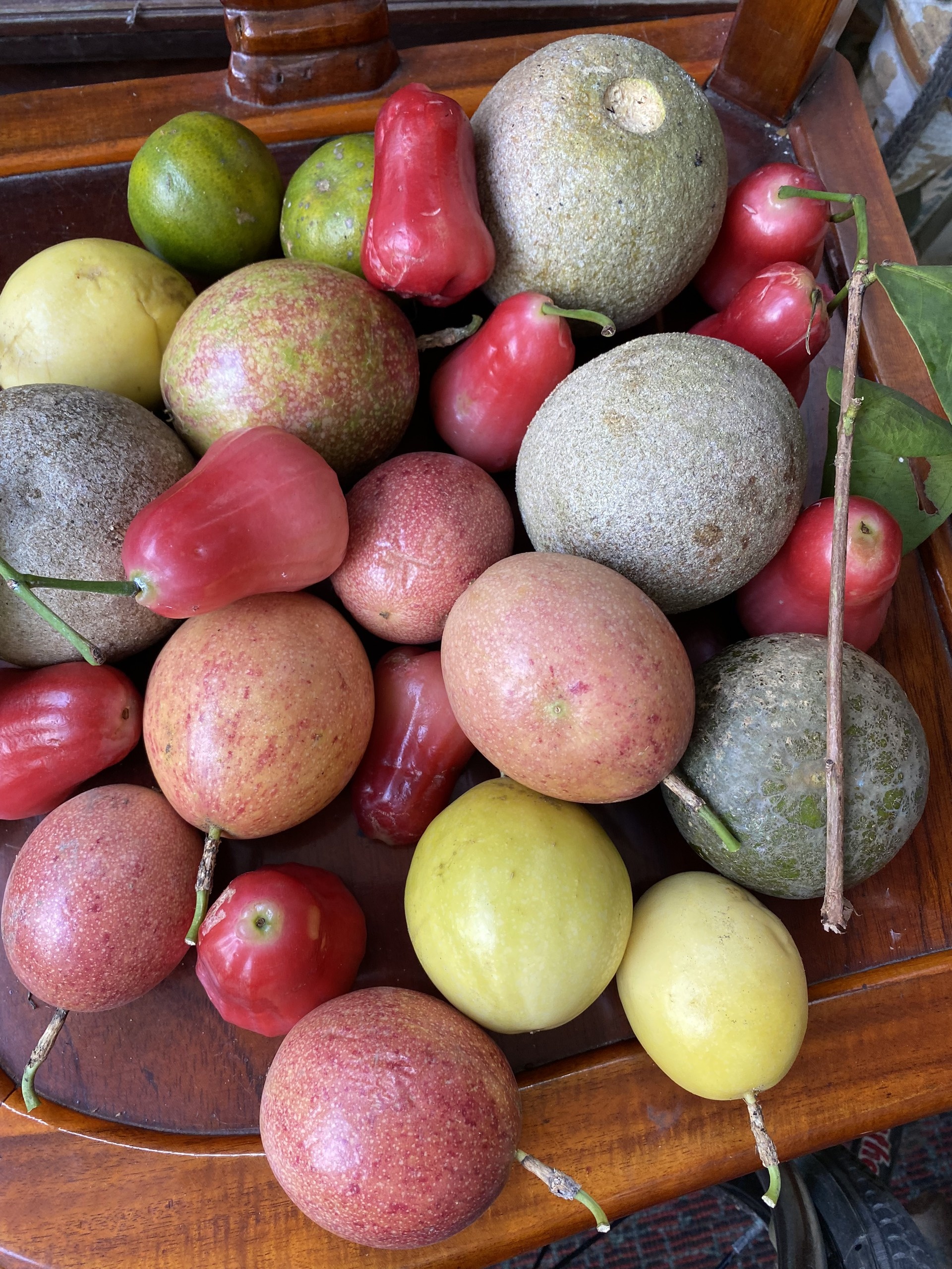 Khu vuon cua chang trai liet hai chan anh 13