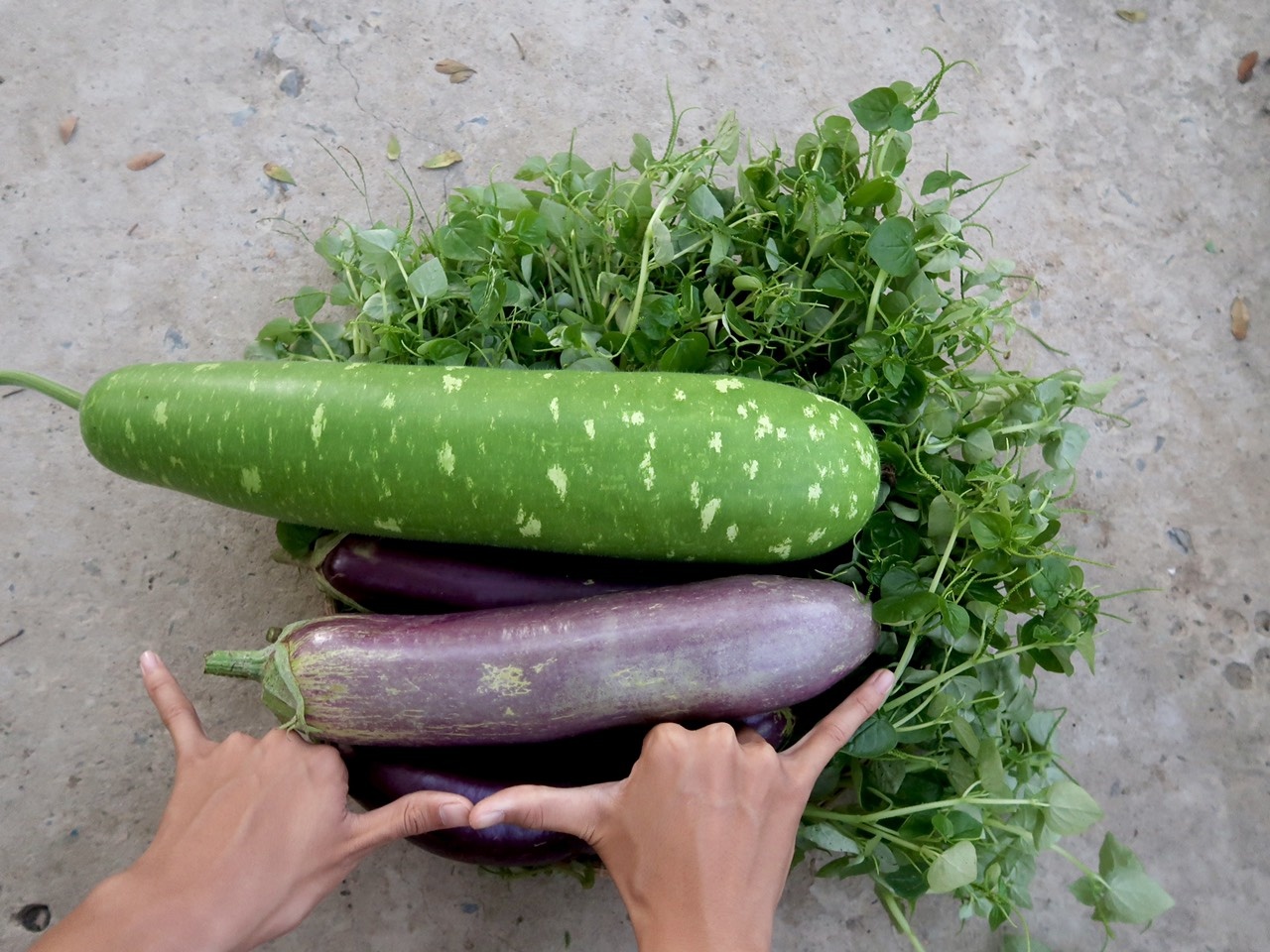 Khu vuon cua chang trai liet hai chan anh 8