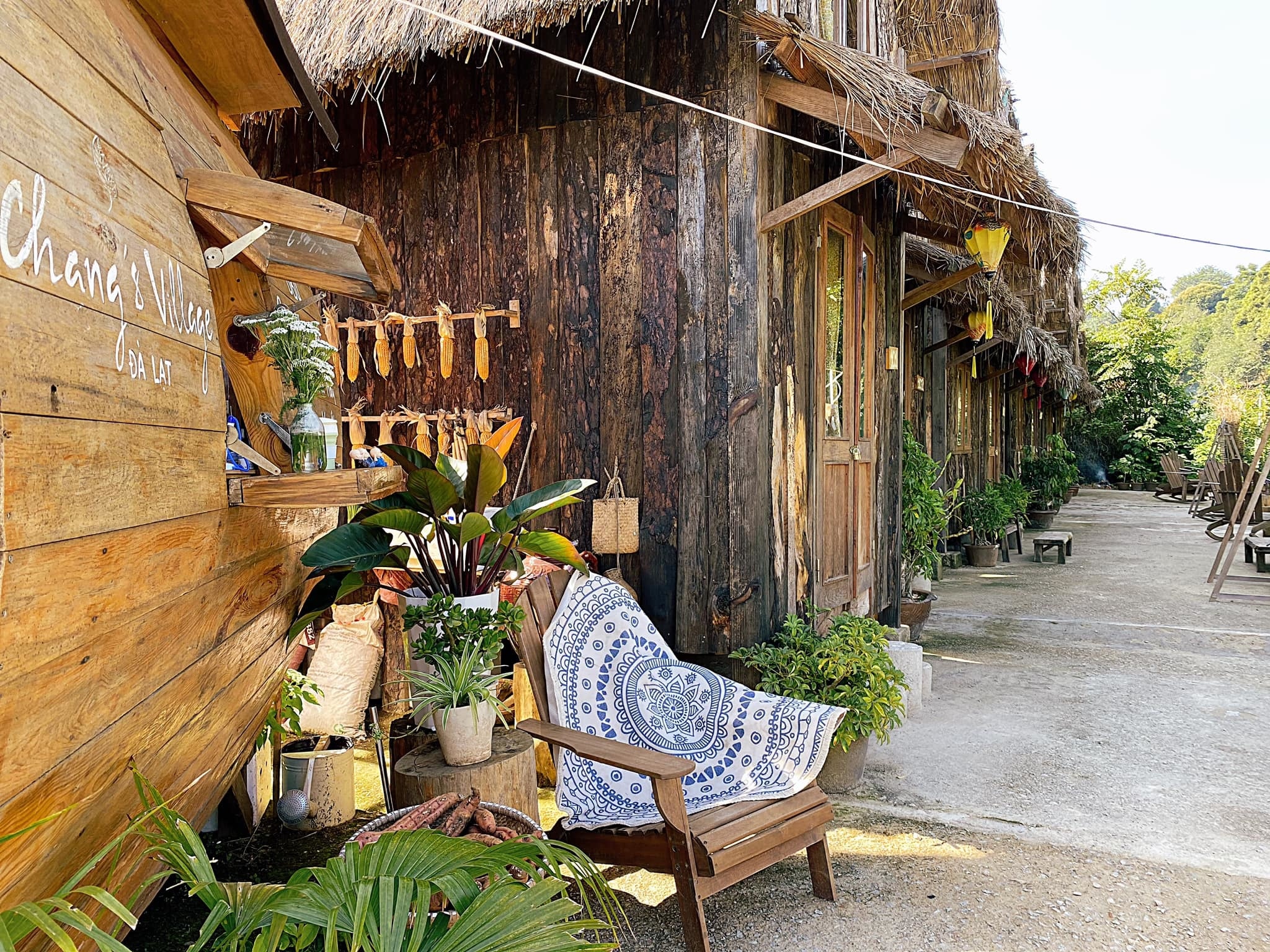 Rời TP.HCM về Đà Lạt dựng homestay ảnh 4 Roi TP.HCM ve Da Lat dung homestay anh 4