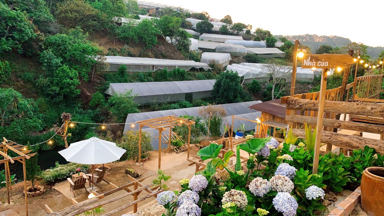 Rời TP.HCM về Đà Lạt dựng homestay ảnh 7 Roi TP.HCM ve Da Lat dung homestay anh 7