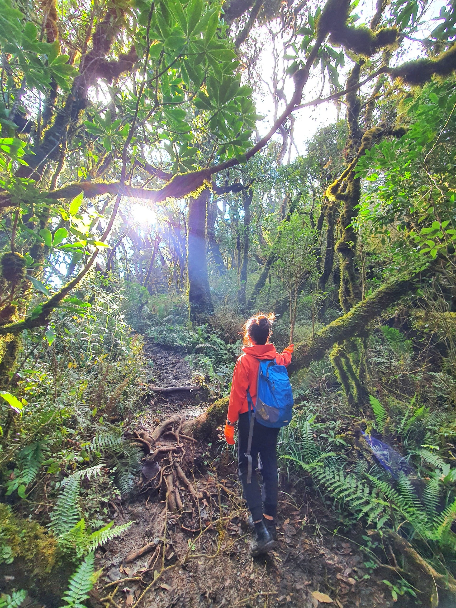 Trekking thay vi di nghi duong dau nam anh 7