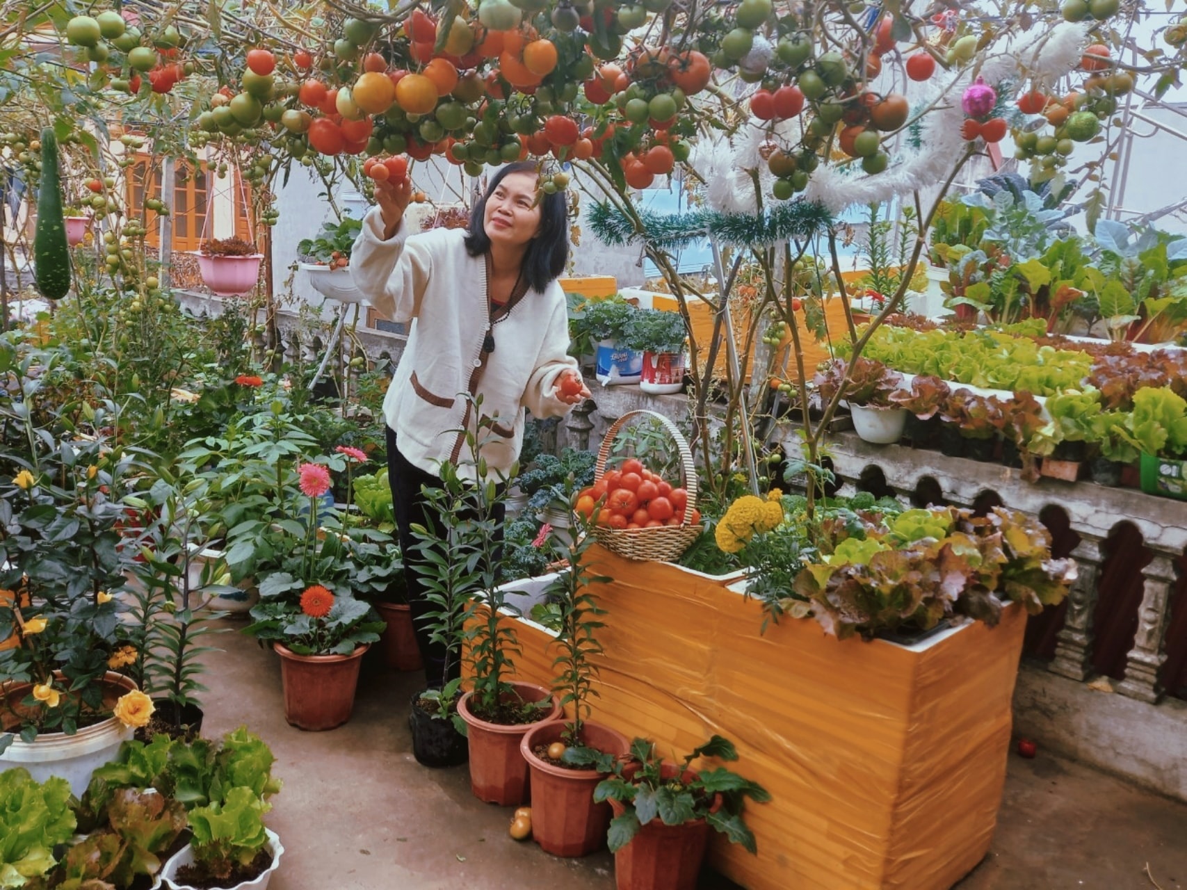 Lam vuon san thuong khi nghi dich anh 2