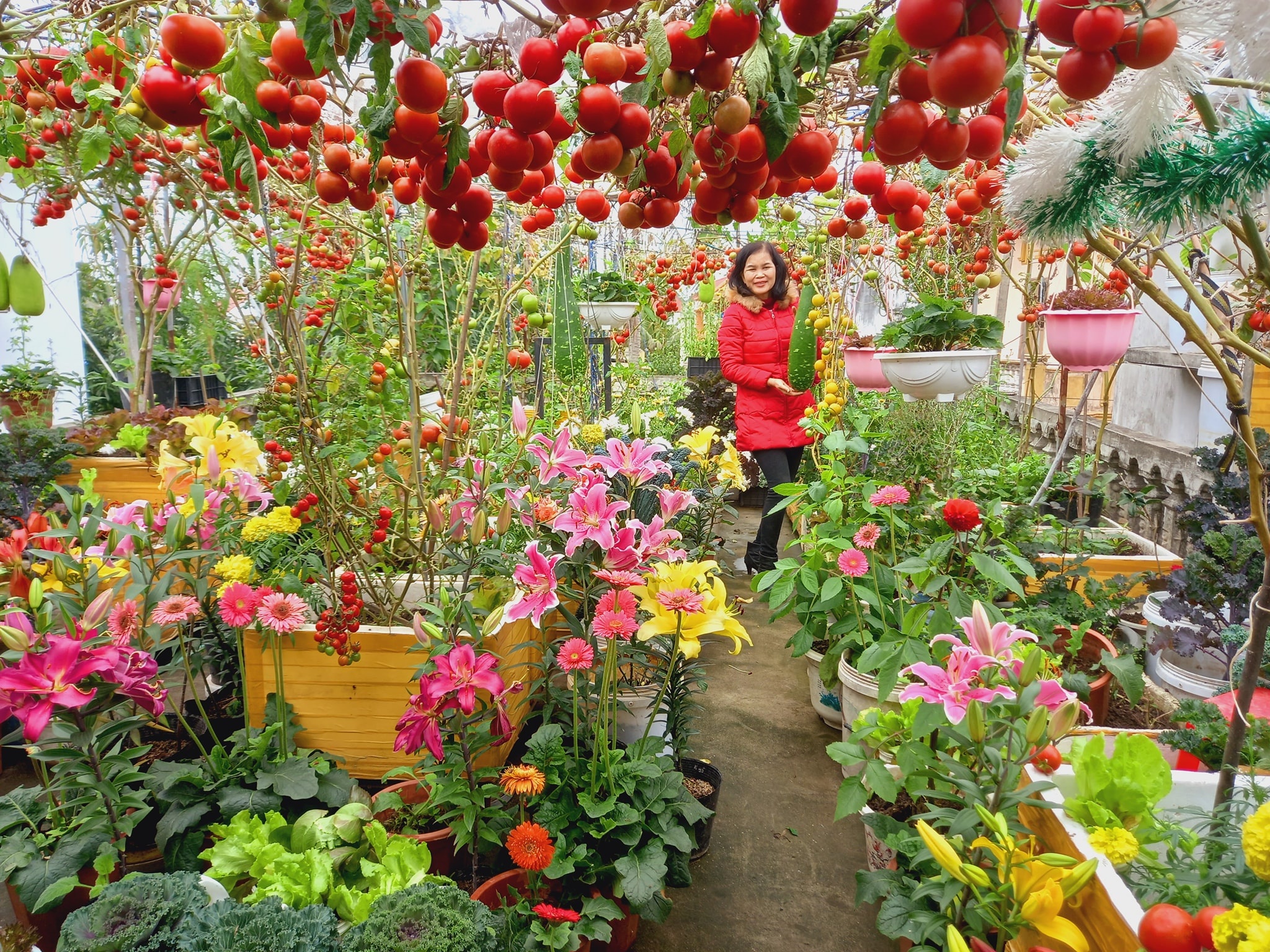 Lam vuon san thuong khi nghi dich anh 1