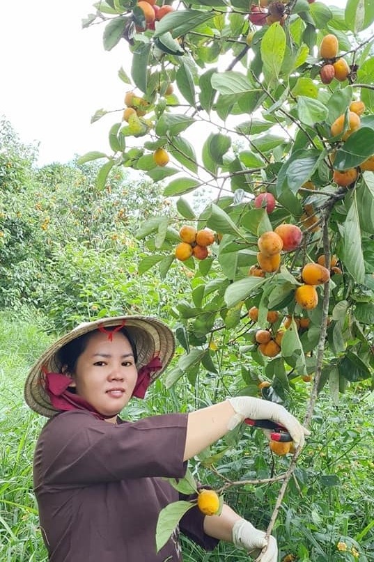 Rời quê lên Đà Lạt mở trang trại trồng dâu tây sạch ảnh 5 Roi que len Da Lat mo trang trai trong dau tay sach anh 5