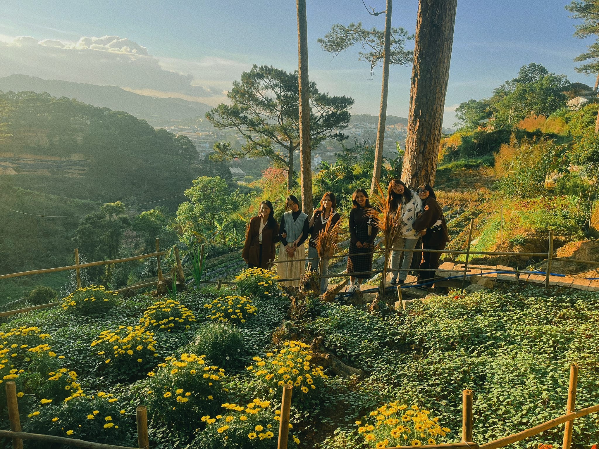 Rời quê lên Đà Lạt mở trang trại trồng dâu tây sạch ảnh 10 Roi que len Da Lat mo trang trai trong dau tay sach anh 10