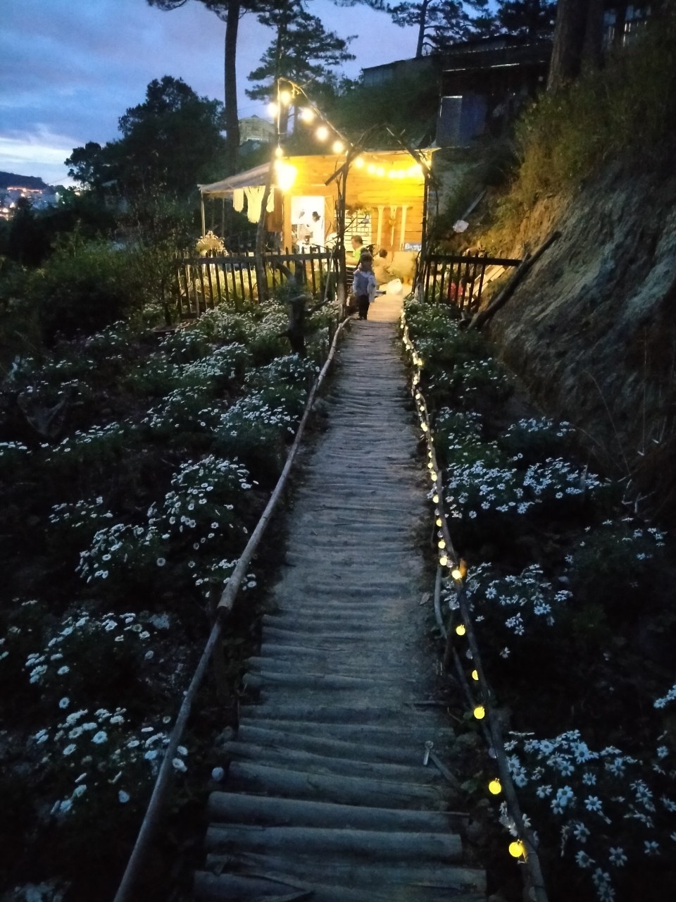 Rời quê lên Đà Lạt mở trang trại trồng dâu tây sạch ảnh 8 Roi que len Da Lat mo trang trai trong dau tay sach anh 8