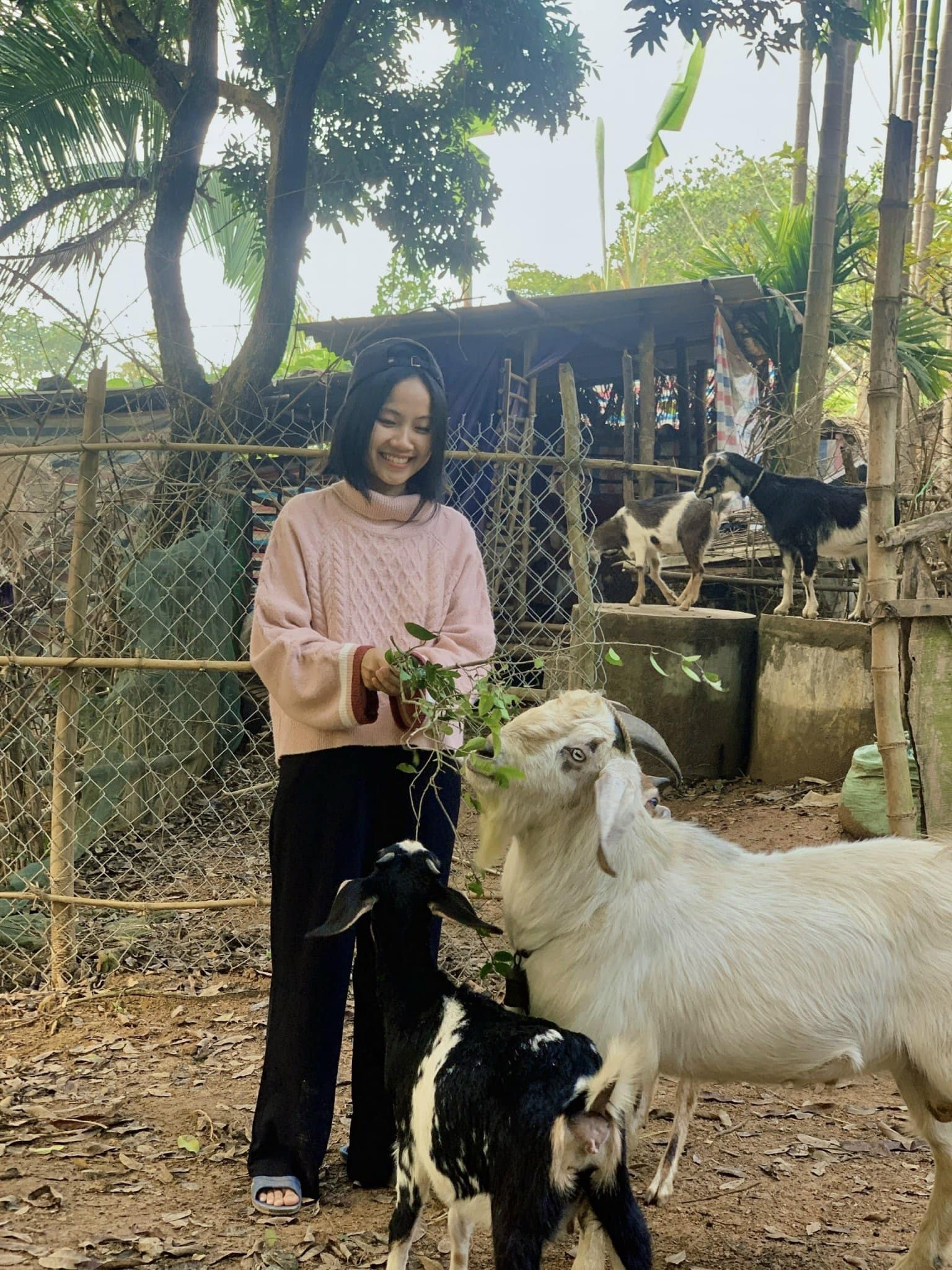 Bo pho ve que anh 11