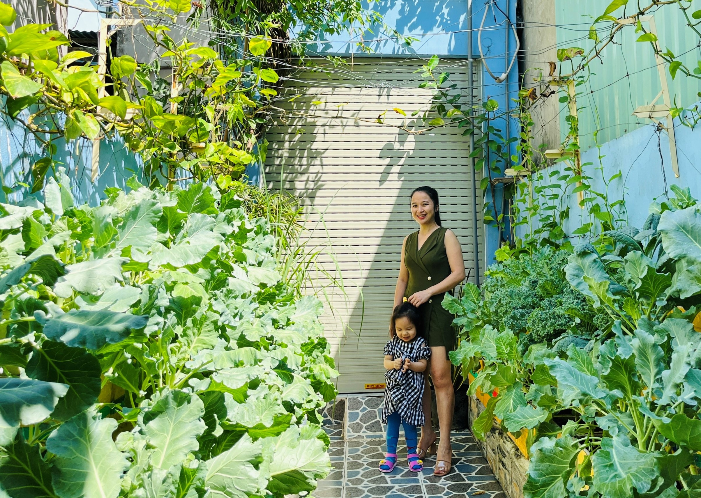 Trong rau trong vuon 4 m2 o TP.HCM anh 1