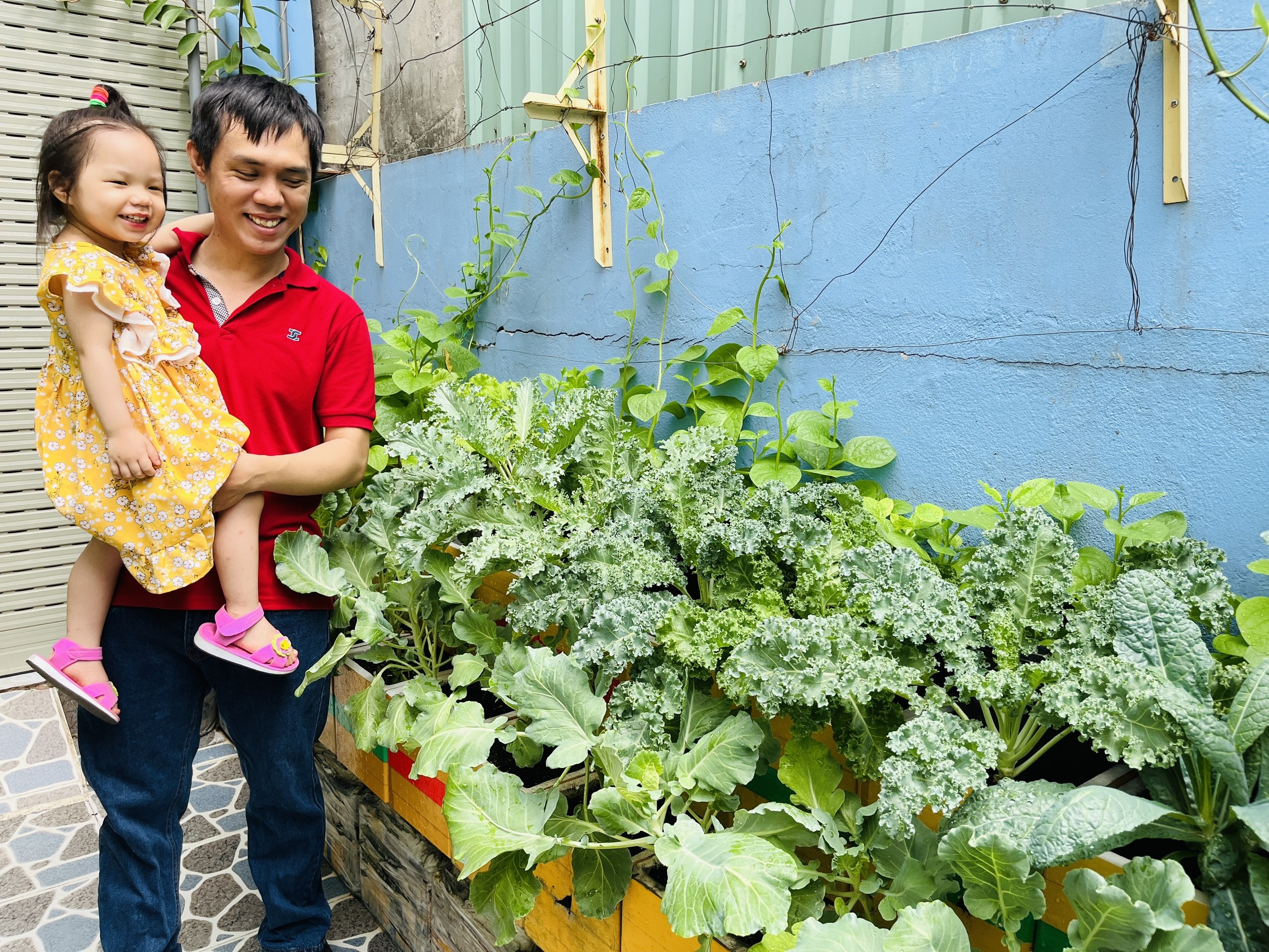 Trong rau trong vuon 4 m2 o TP.HCM anh 3