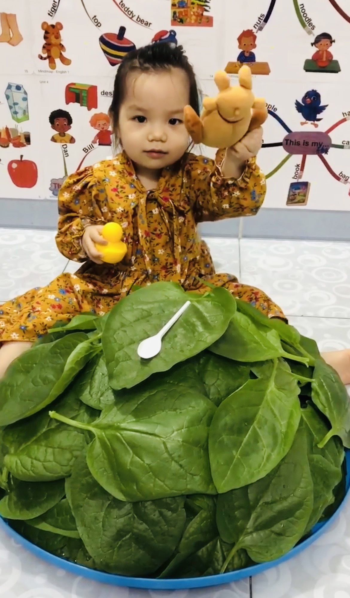 Trong rau trong vuon 4 m2 o TP.HCM anh 6