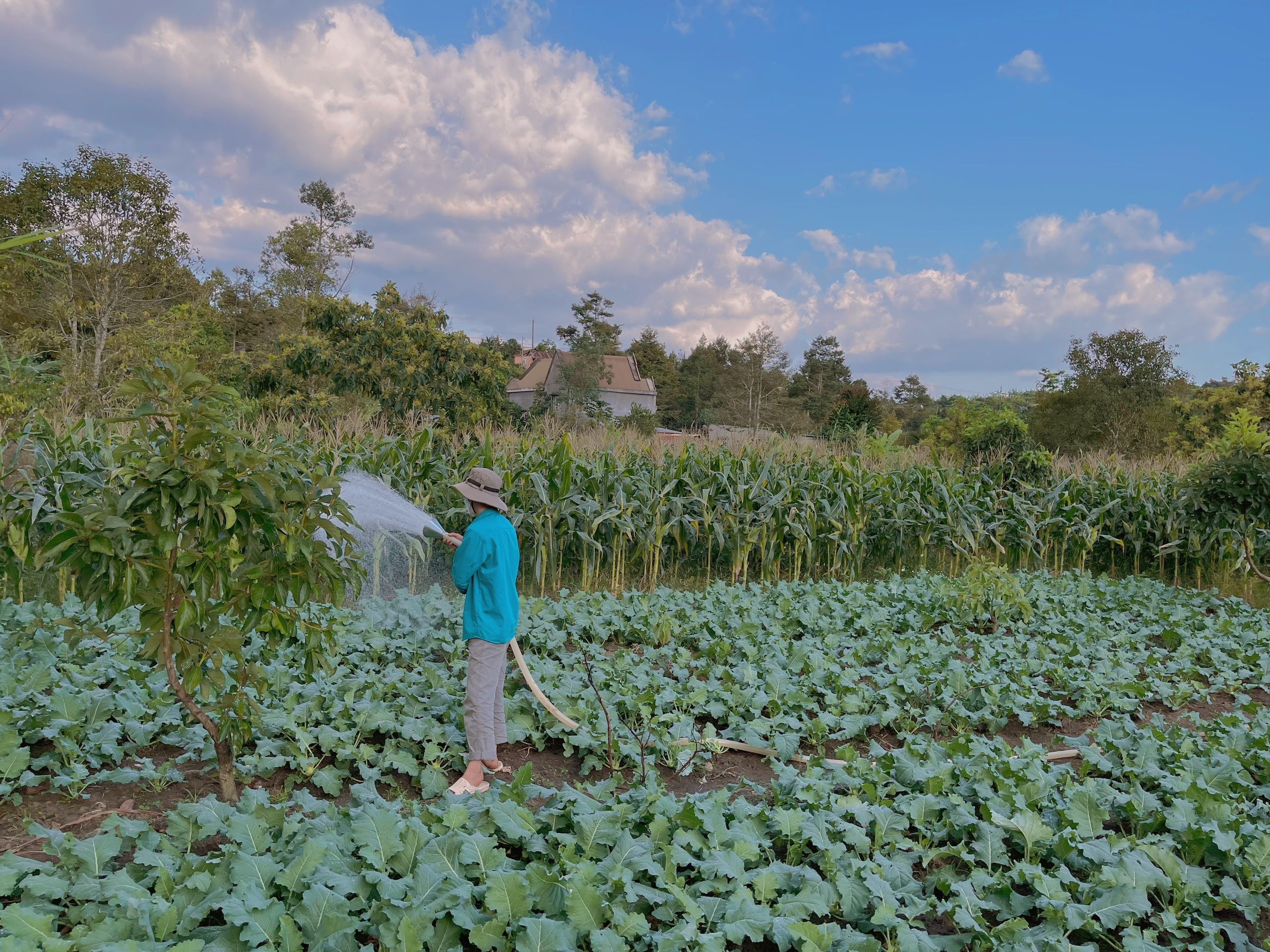 Bo pho ve que lam nong dan trong dich anh 2