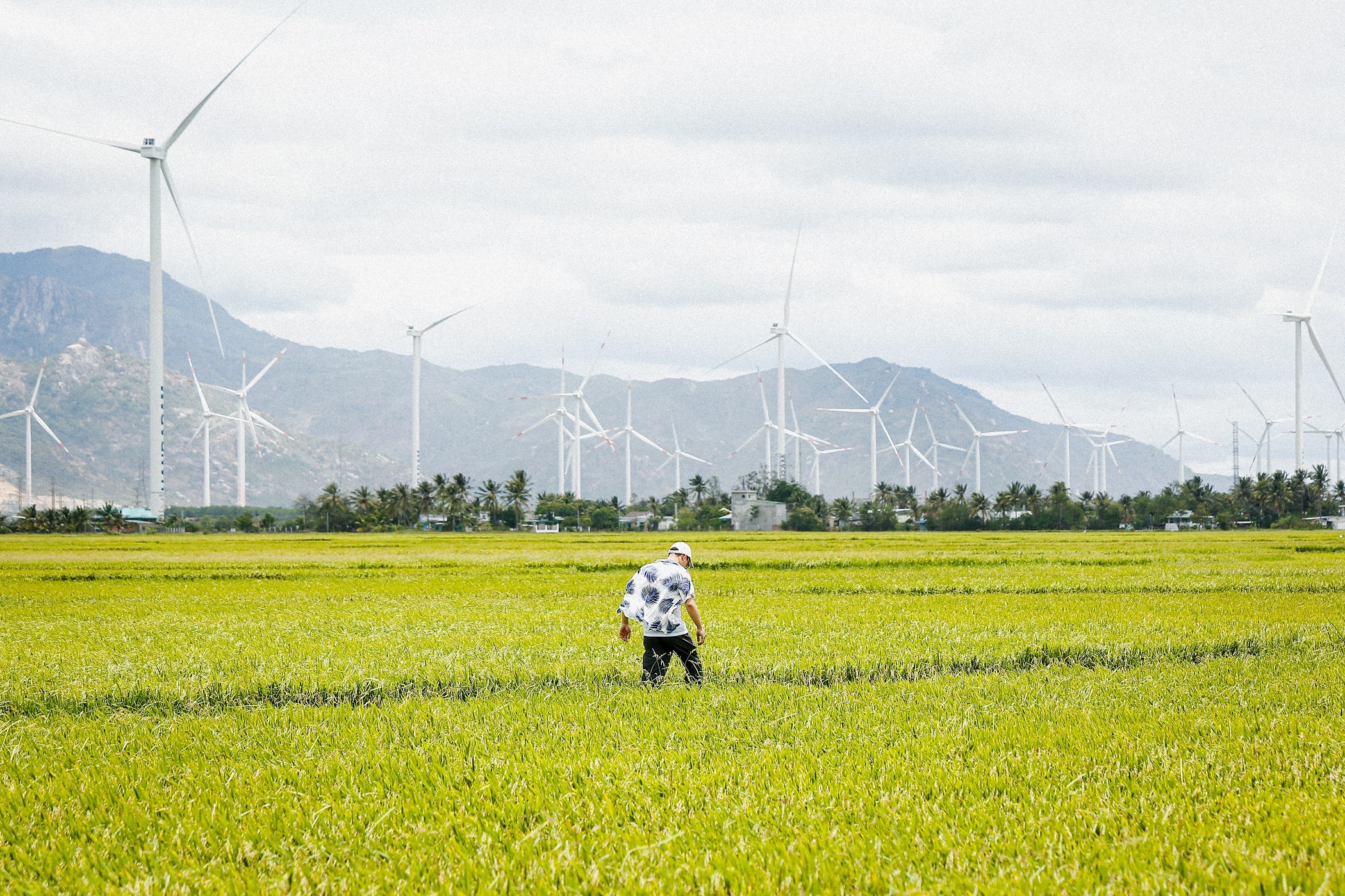 Gac lai cong viec di phuot xuyen Viet anh 9