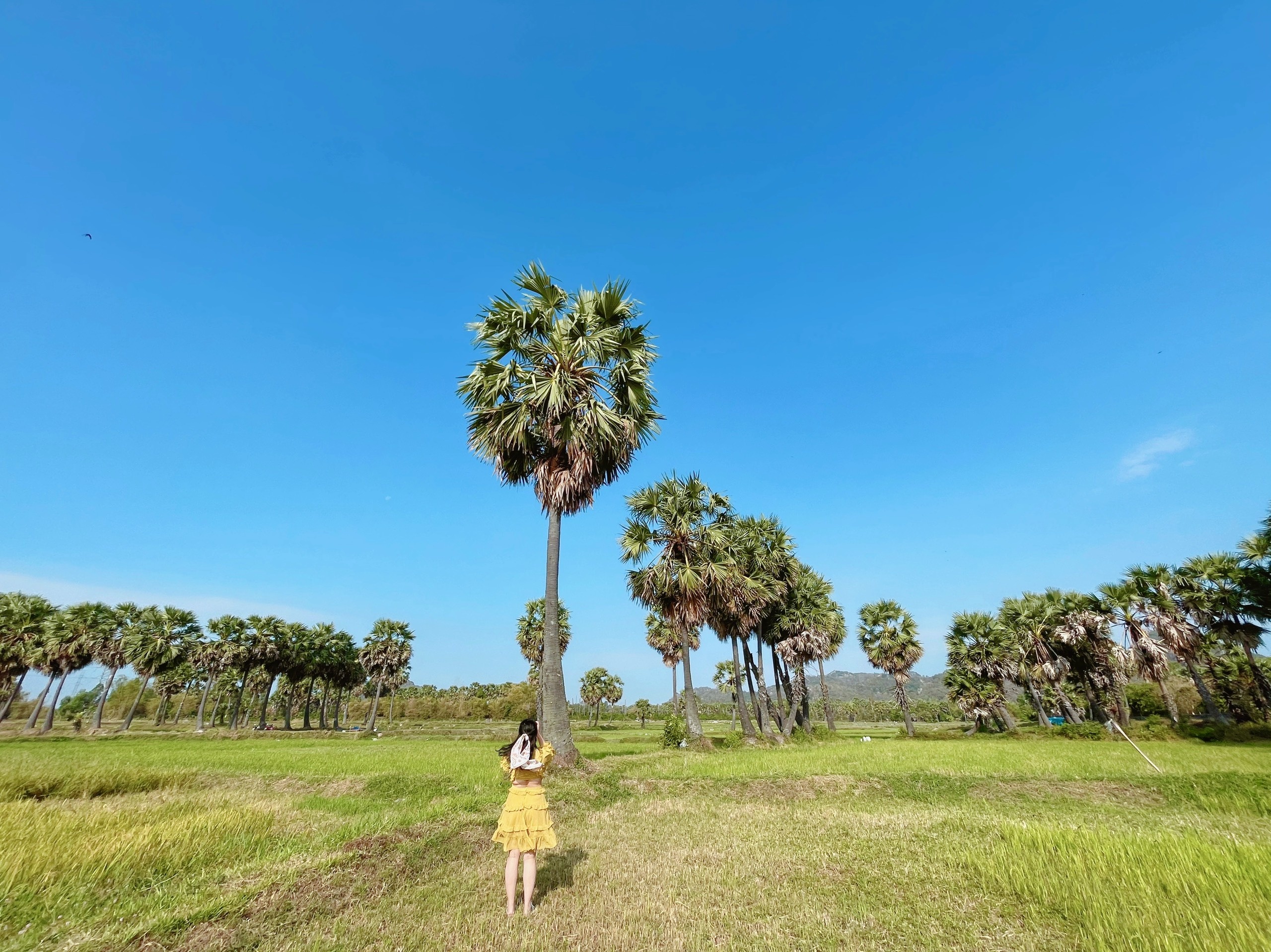 Cô gái Việt ở Dubai một mình du lịch Ai Cập ảnh 22 Co gai Viet o Dubai mot minh du lich Ai Cap anh 22