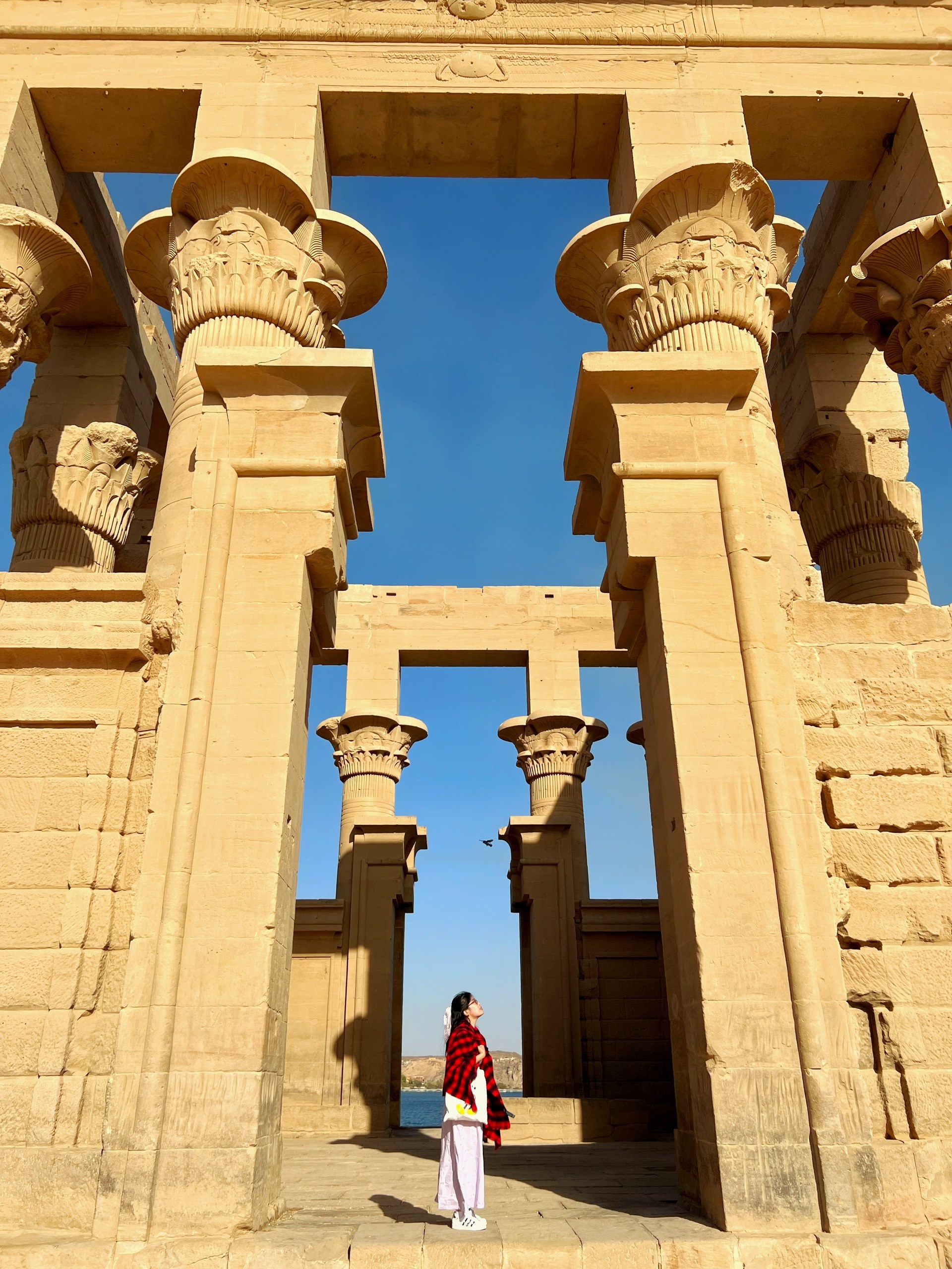 Cô gái Việt ở Dubai một mình du lịch Ai Cập ảnh 11 Co gai Viet o Dubai mot minh du lich Ai Cap anh 11