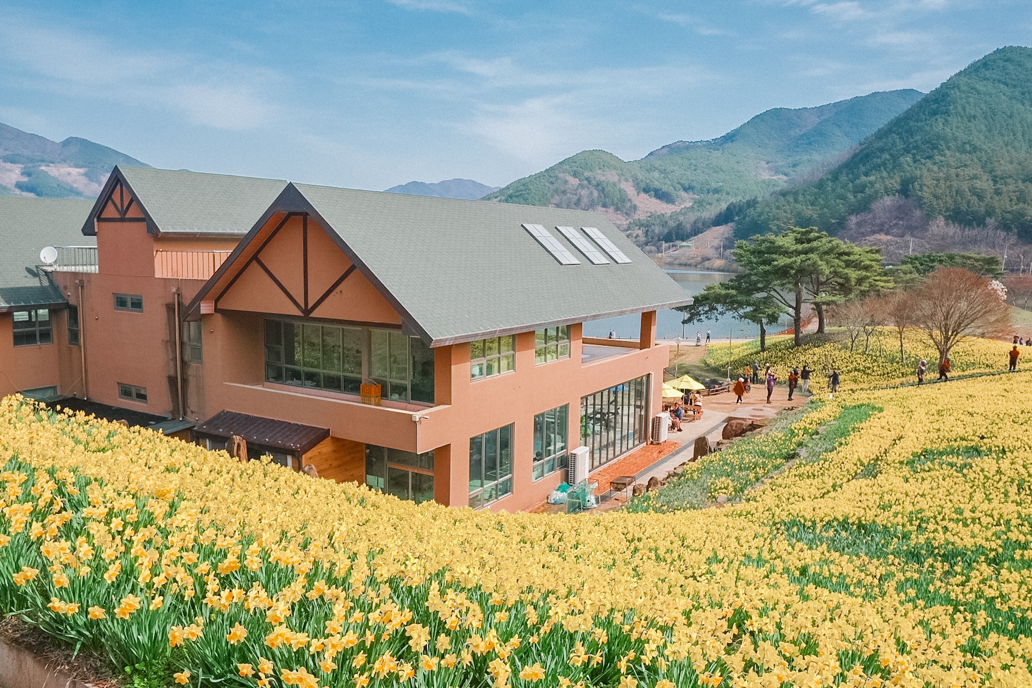 Van hoa 996 nhau voi sep qua loi ke cua chang trai Viet o Han anh 17