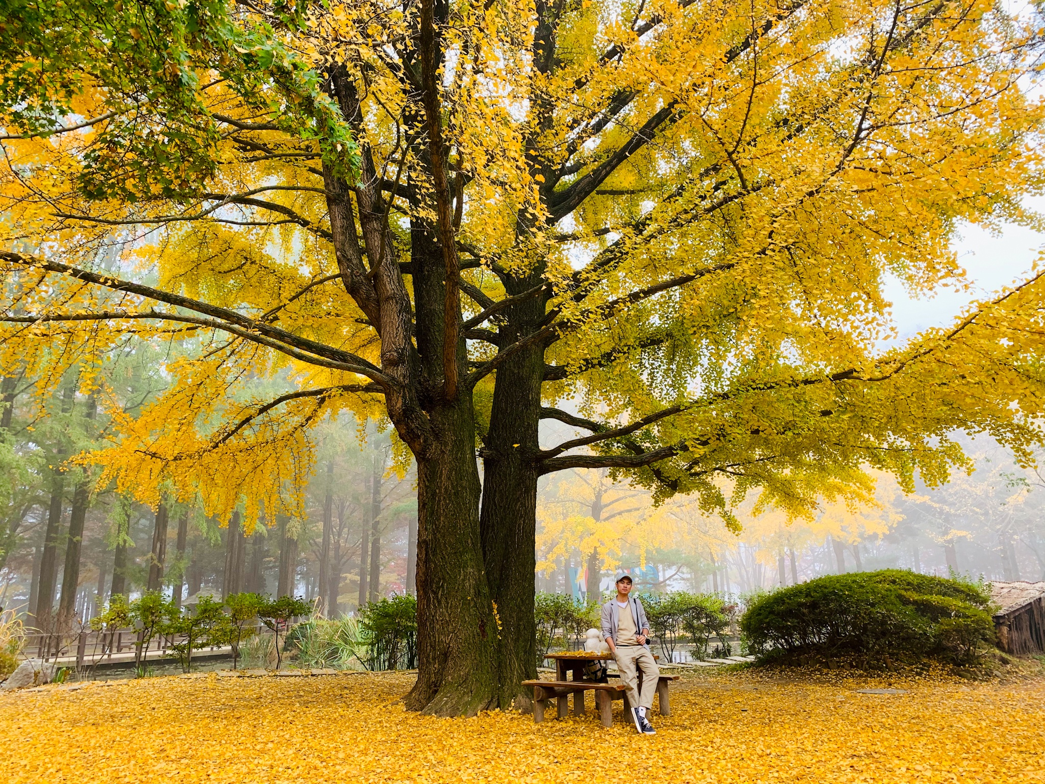 Van hoa 996 nhau voi sep qua loi ke cua chang trai Viet o Han anh 13