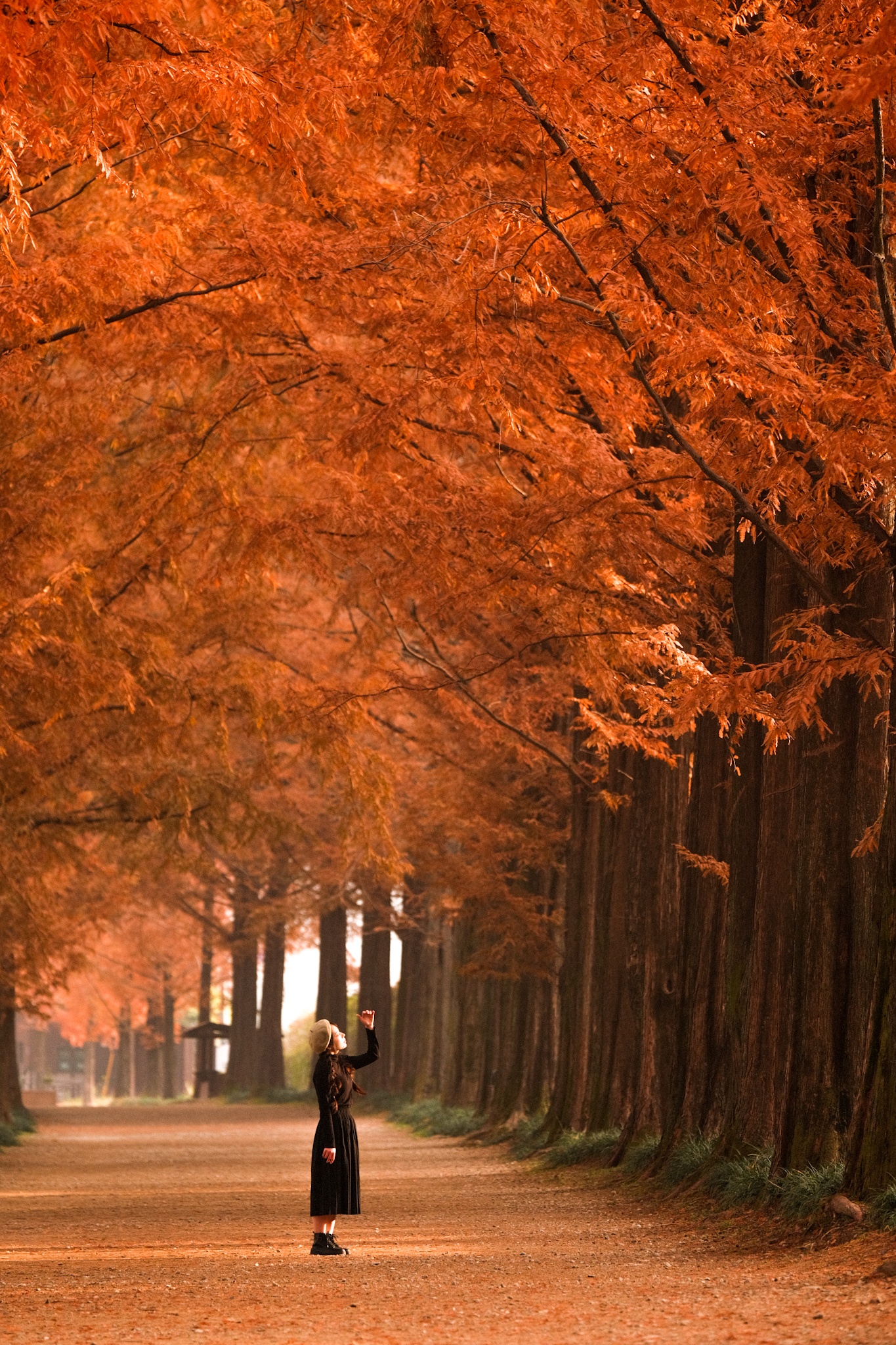 Van hoa 996 nhau voi sep qua loi ke cua chang trai Viet o Han anh 14