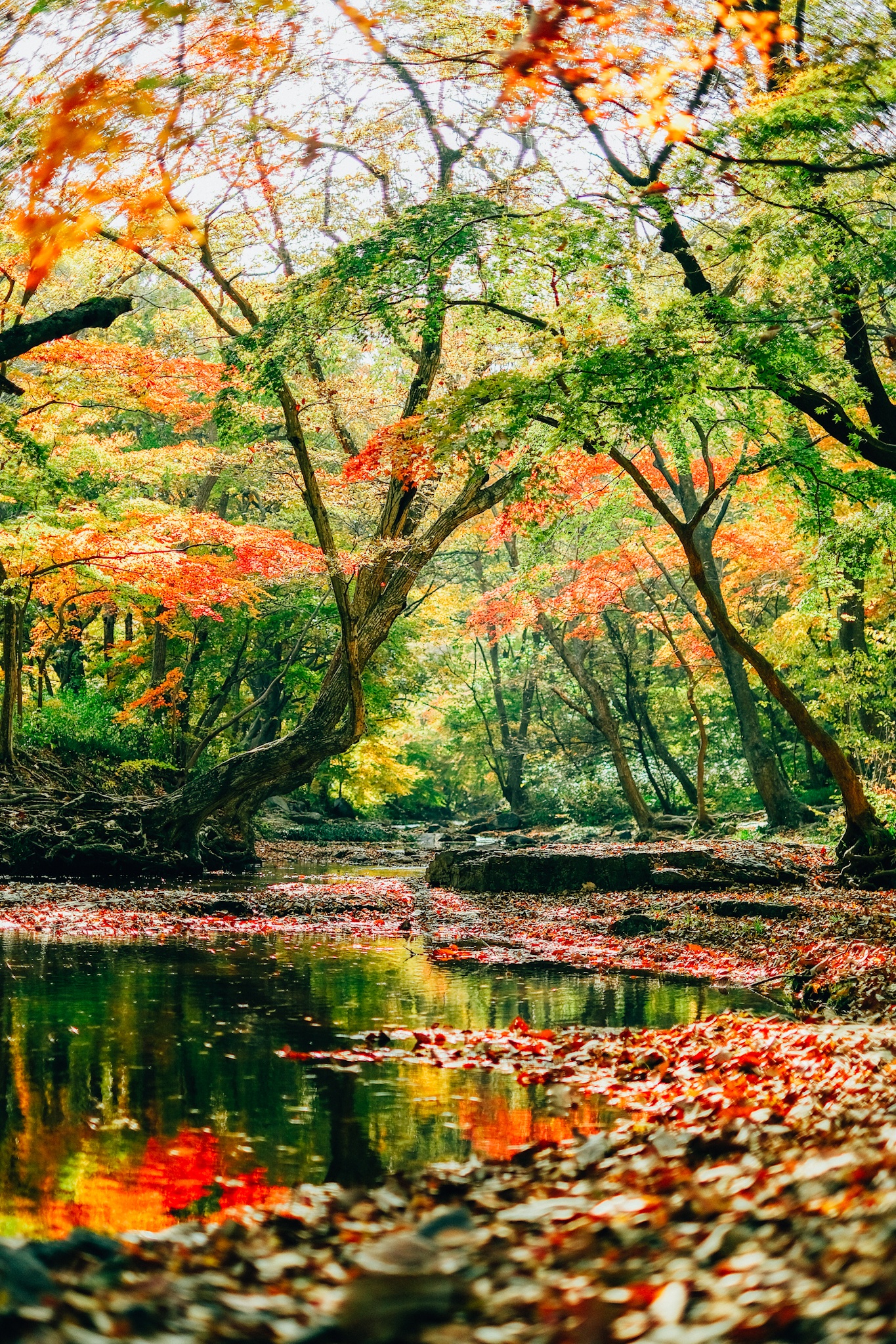 Van hoa 996 nhau voi sep qua loi ke cua chang trai Viet o Han anh 15