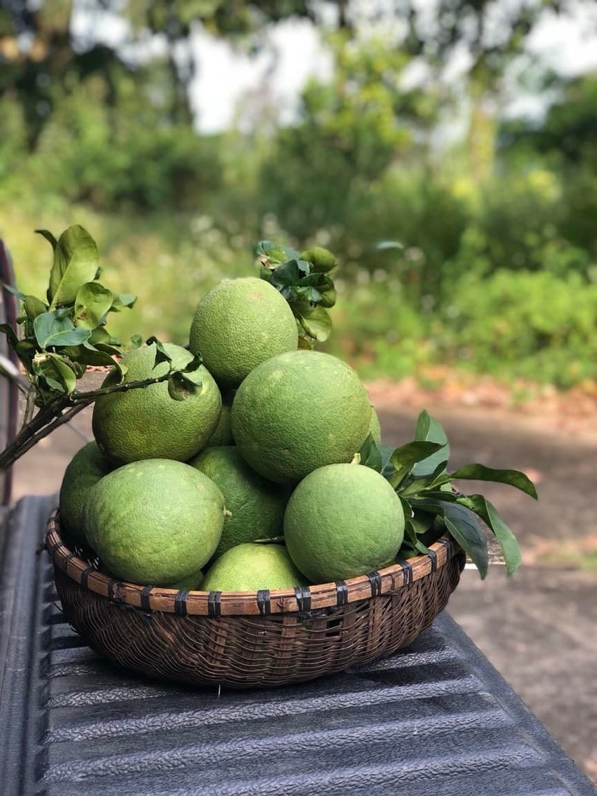 Vợ rủ chồng rời TP.HCM về quê sống ảnh 6 Vo ru chong roi TP.HCM ve que song anh 6