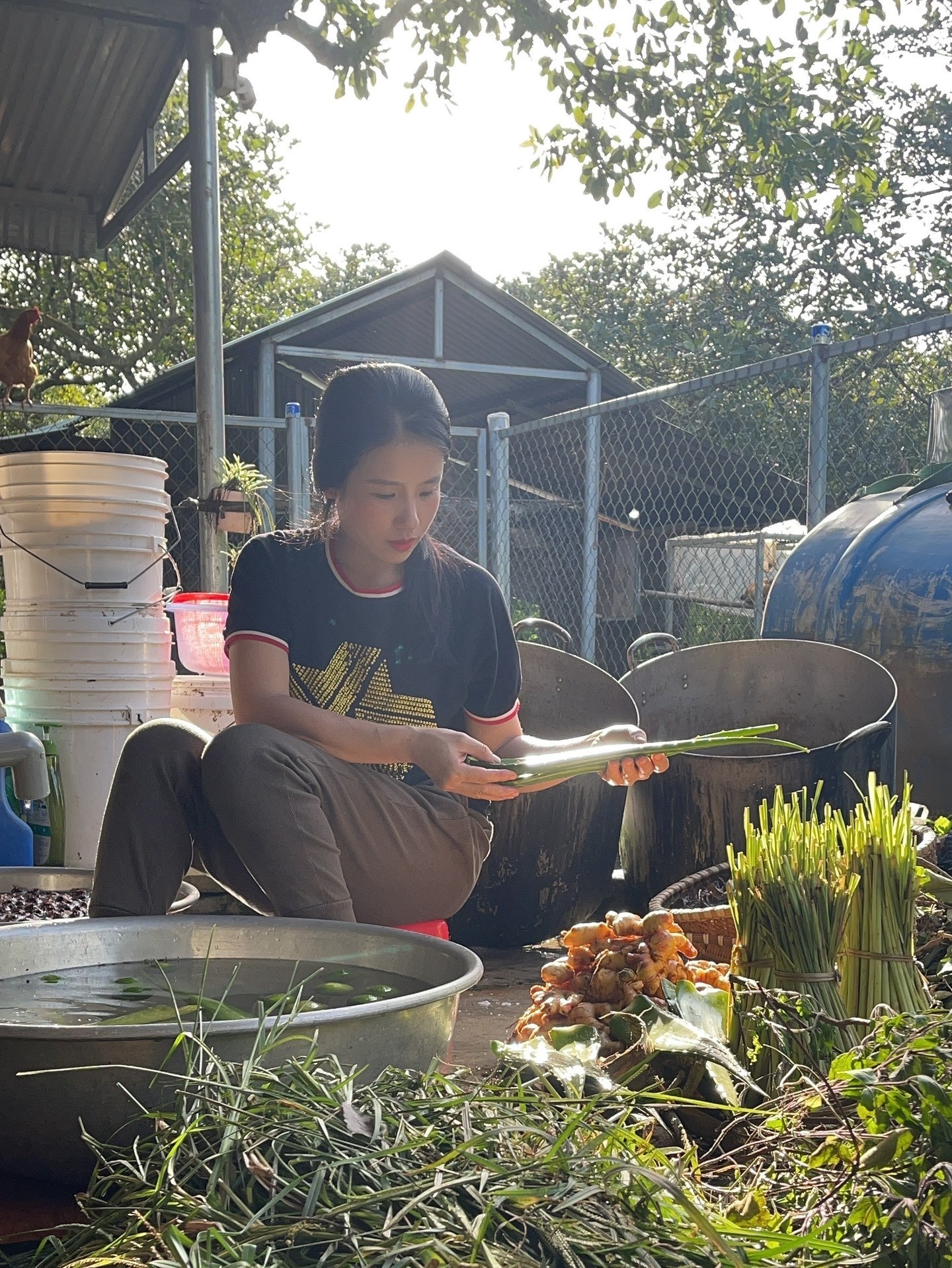 Vợ rủ chồng rời TP.HCM về quê sống ảnh 3 Vo ru chong roi TP.HCM ve que song anh 3