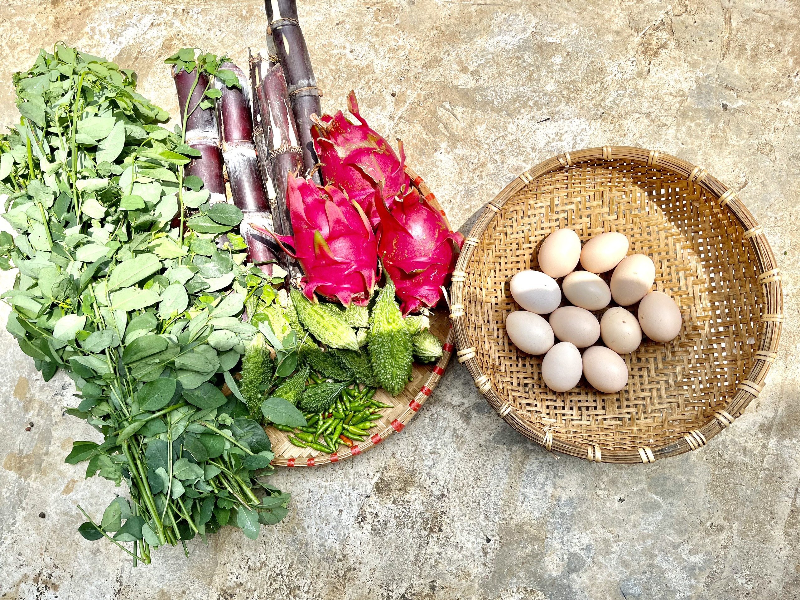 Vợ rủ chồng rời TP.HCM về quê sống ảnh 8 Vo ru chong roi TP.HCM ve que song anh 8