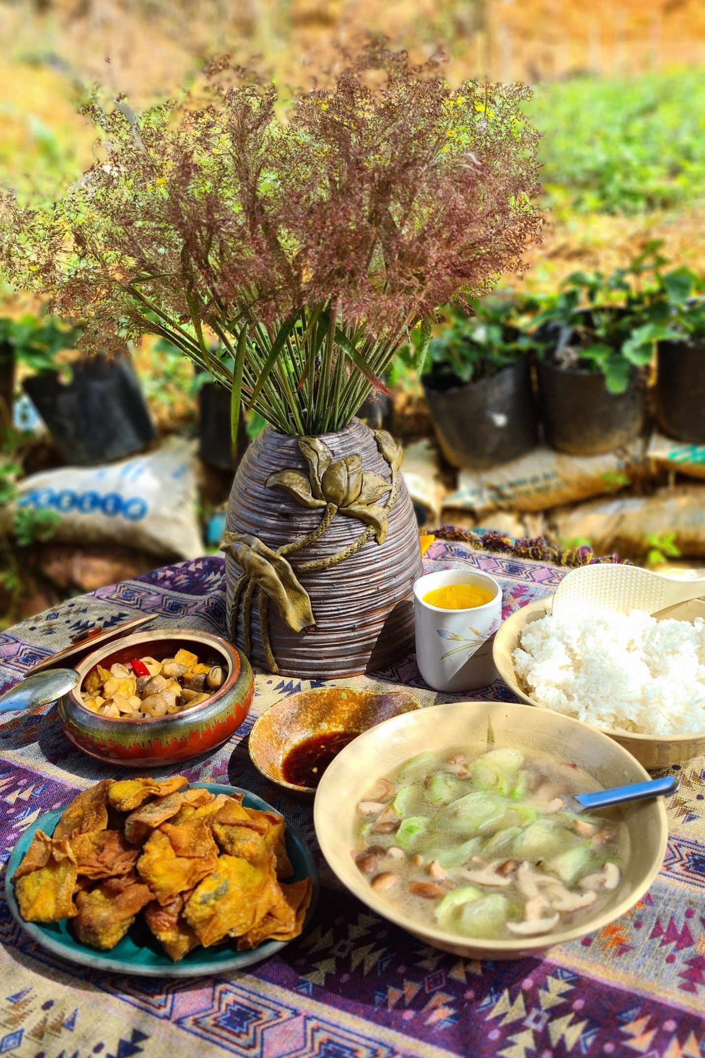 rời TP.HCM lên Đà Lạt ảnh 5 roi TP.HCM len Da Lat anh 5