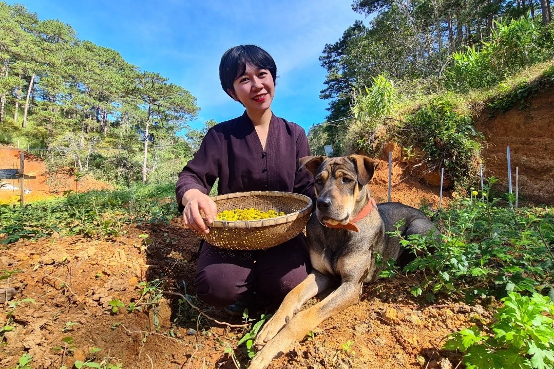 roi TP.HCM len Da Lat anh 2