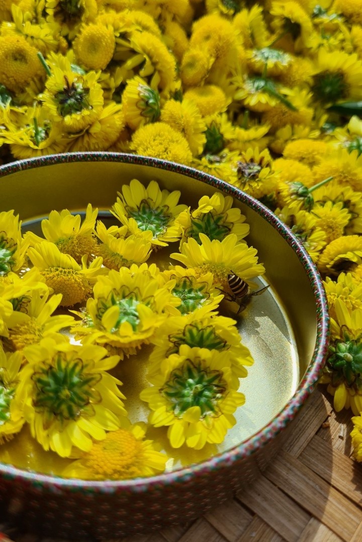 rời TP.HCM lên Đà Lạt ảnh 4 roi TP.HCM len Da Lat anh 4