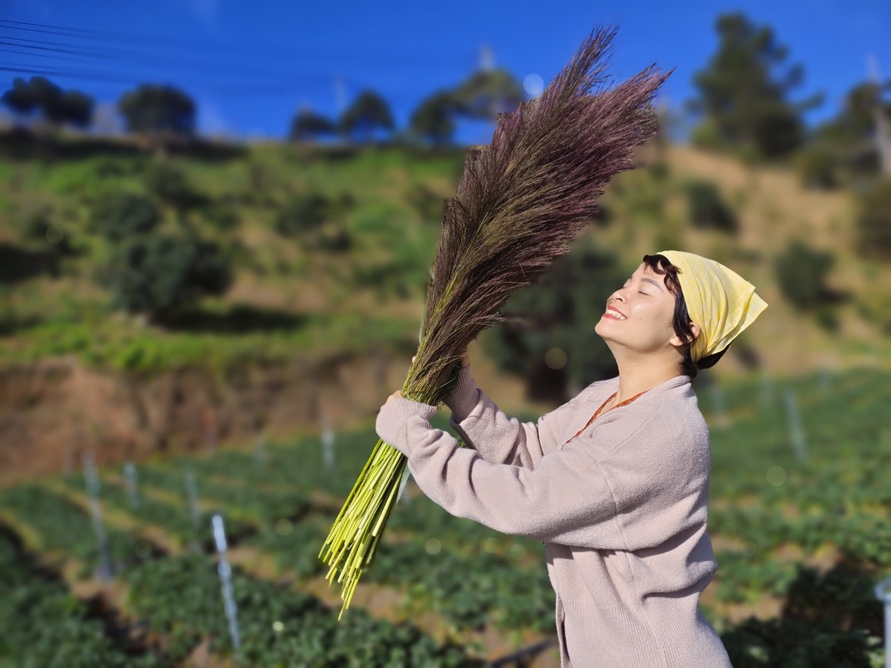 Bo viec van phong o TP.HCM ve rung lam nong dan anh 7