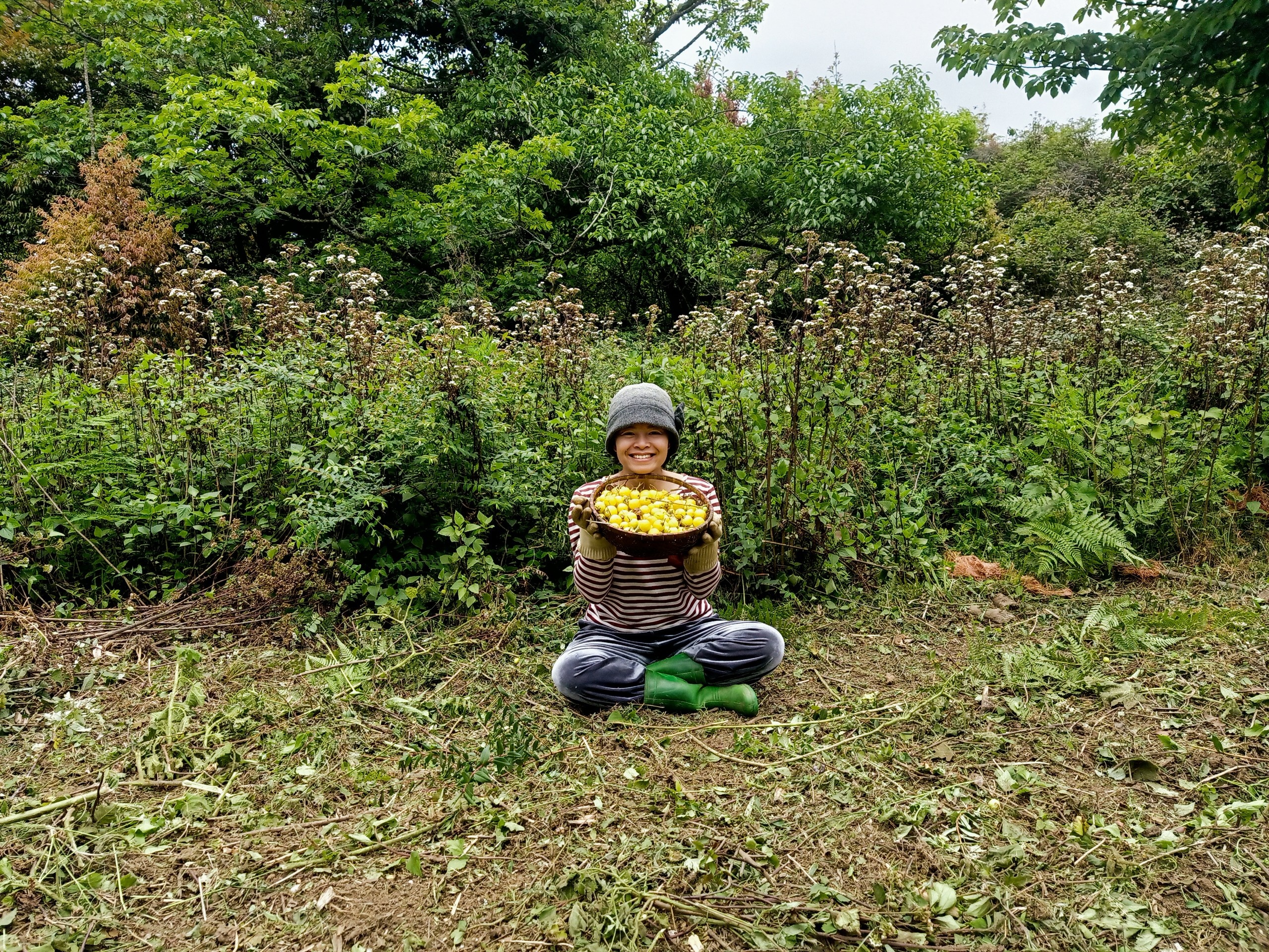 Bo viec van phong o TP.HCM ve rung lam nong dan anh 2