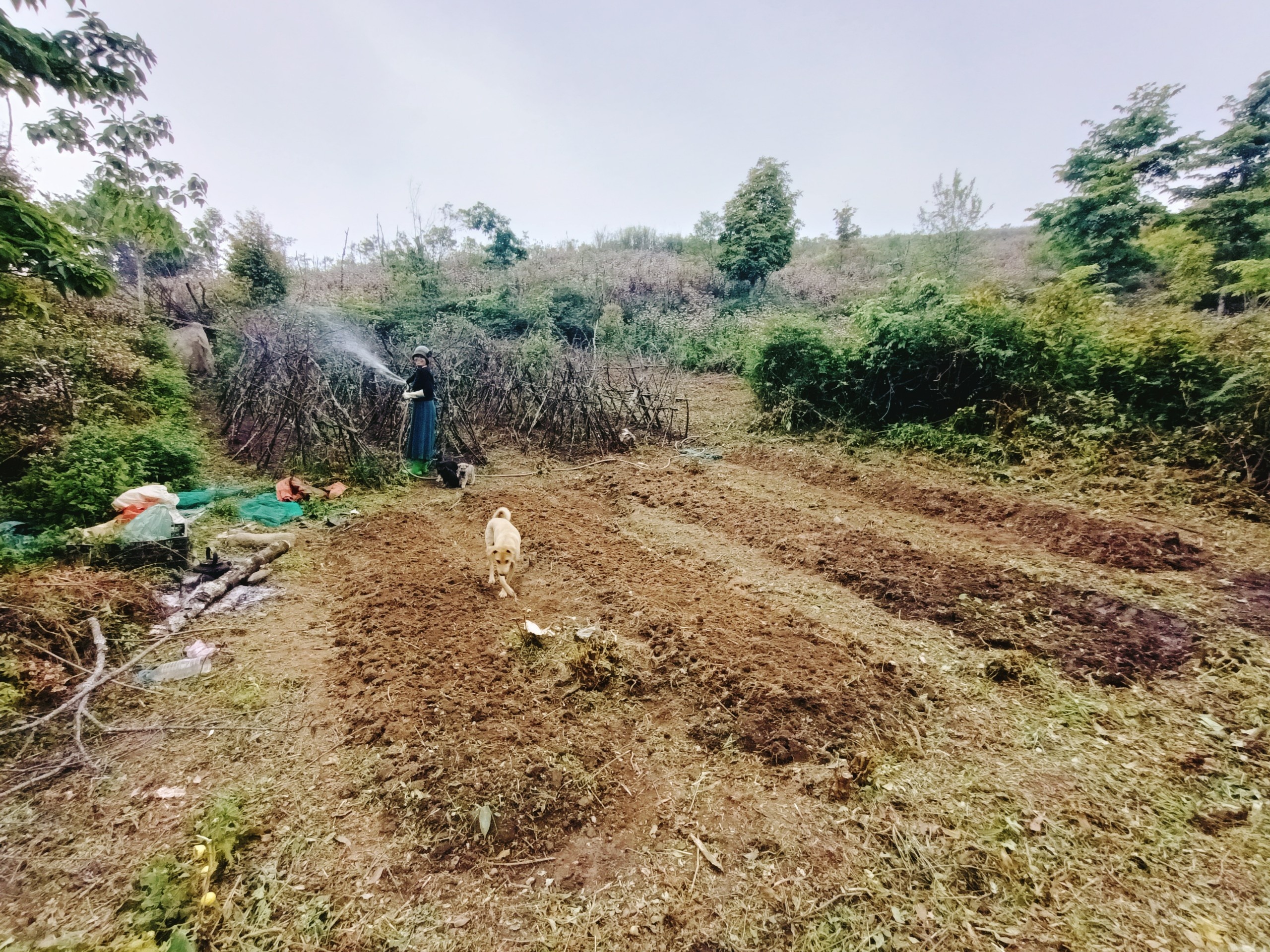 Bo viec van phong o TP.HCM ve rung lam nong dan anh 5