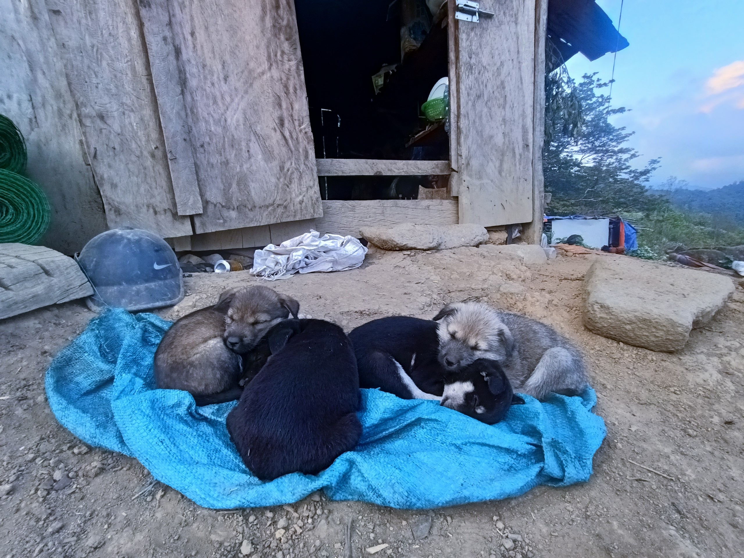 Bo viec van phong o TP.HCM ve rung lam nong dan anh 12