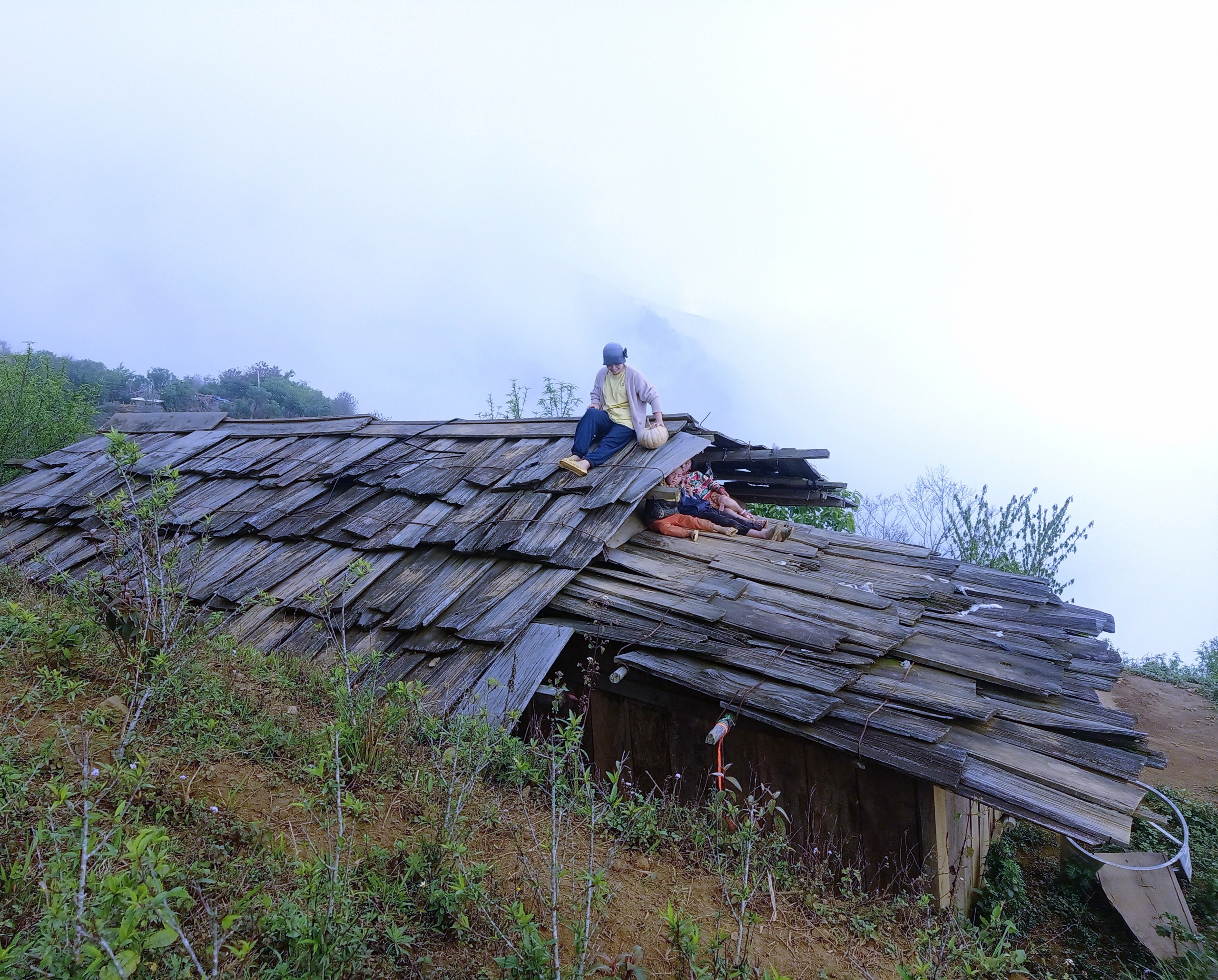 Bo viec van phong o TP.HCM ve rung lam nong dan anh 4