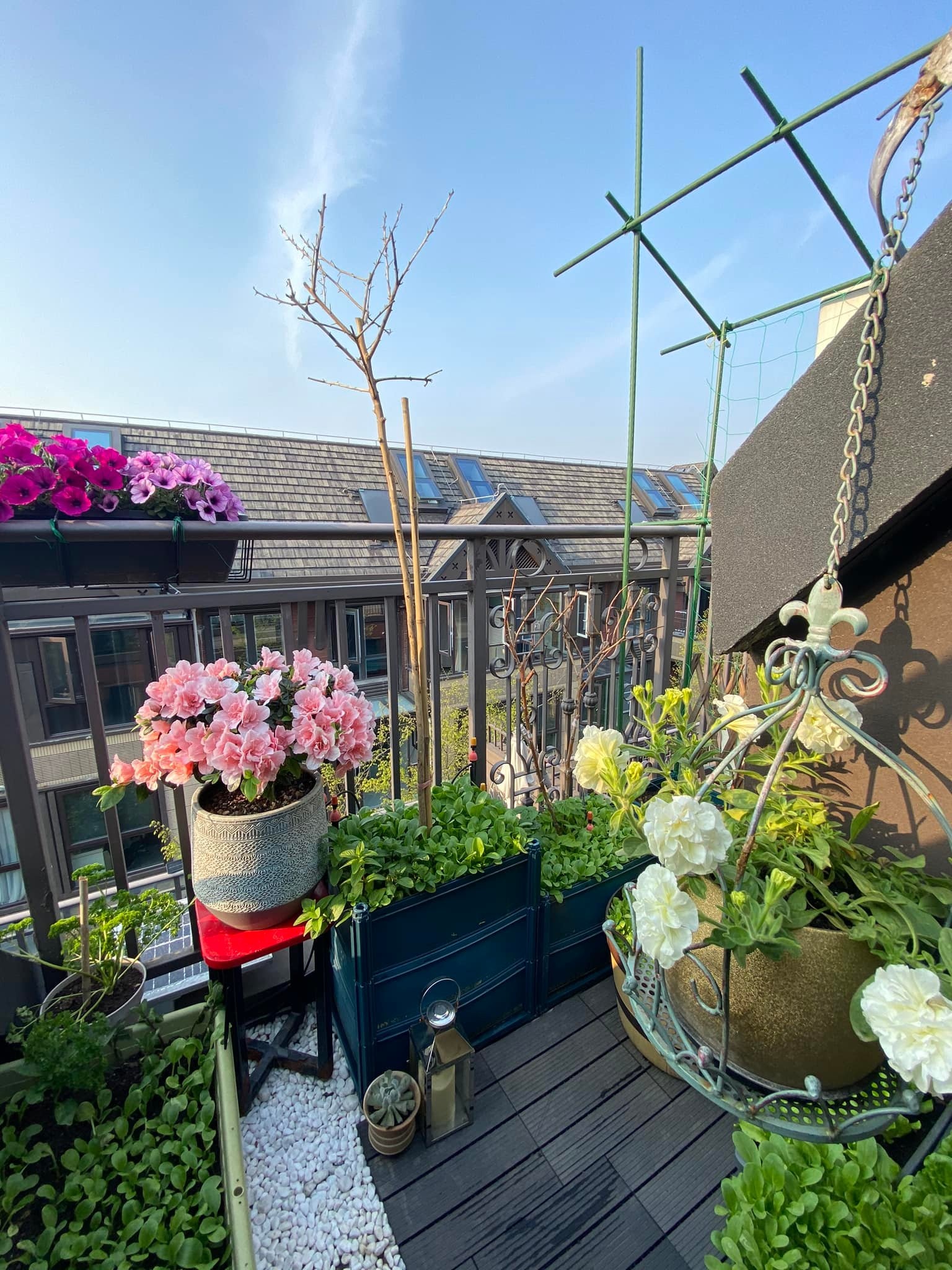 Người Trung Quốc sợ đẻ ảnh 2 Nguoi Trung Quoc so de anh 2